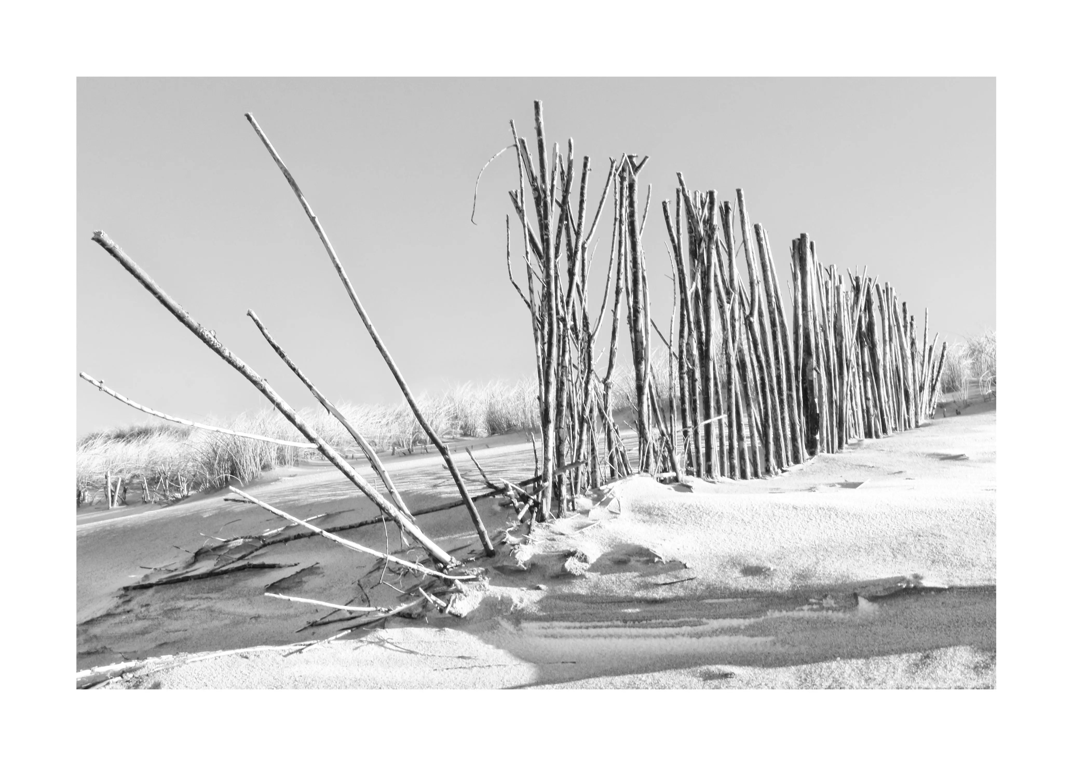 Poster / Druck Strand Sylt ’Beach’ SY70 - Wandbilder