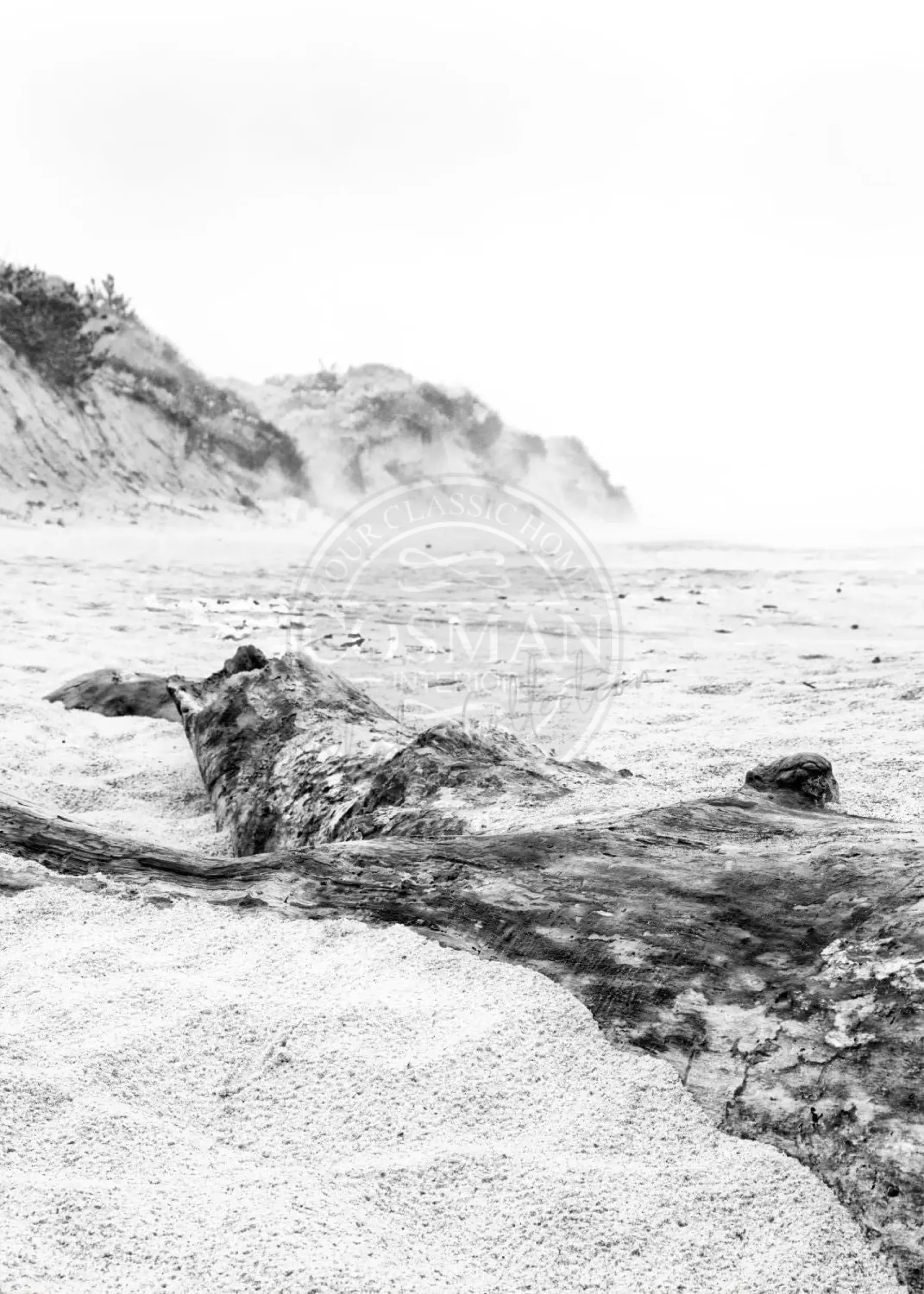 Schwarz-weiß Poster von Cosman-Photocollection, Hamptons Long Island Strand, A4 Größe, mit weißem Rand.
