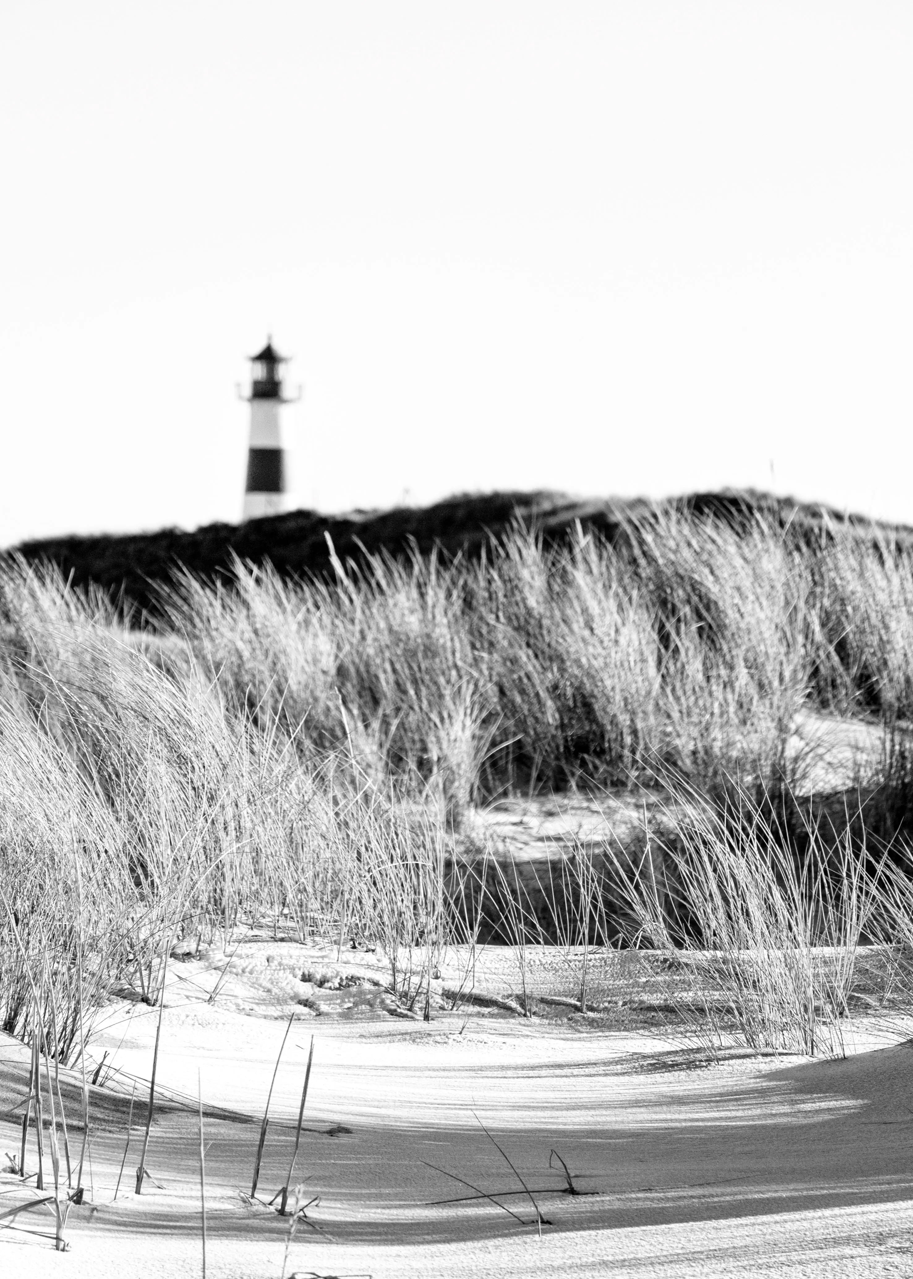 Schwarz-weiß Poster mit Dünen-Szene auf Sylt von Cosman-Photocollection, 21x29,7 cm, mit weißem Rand