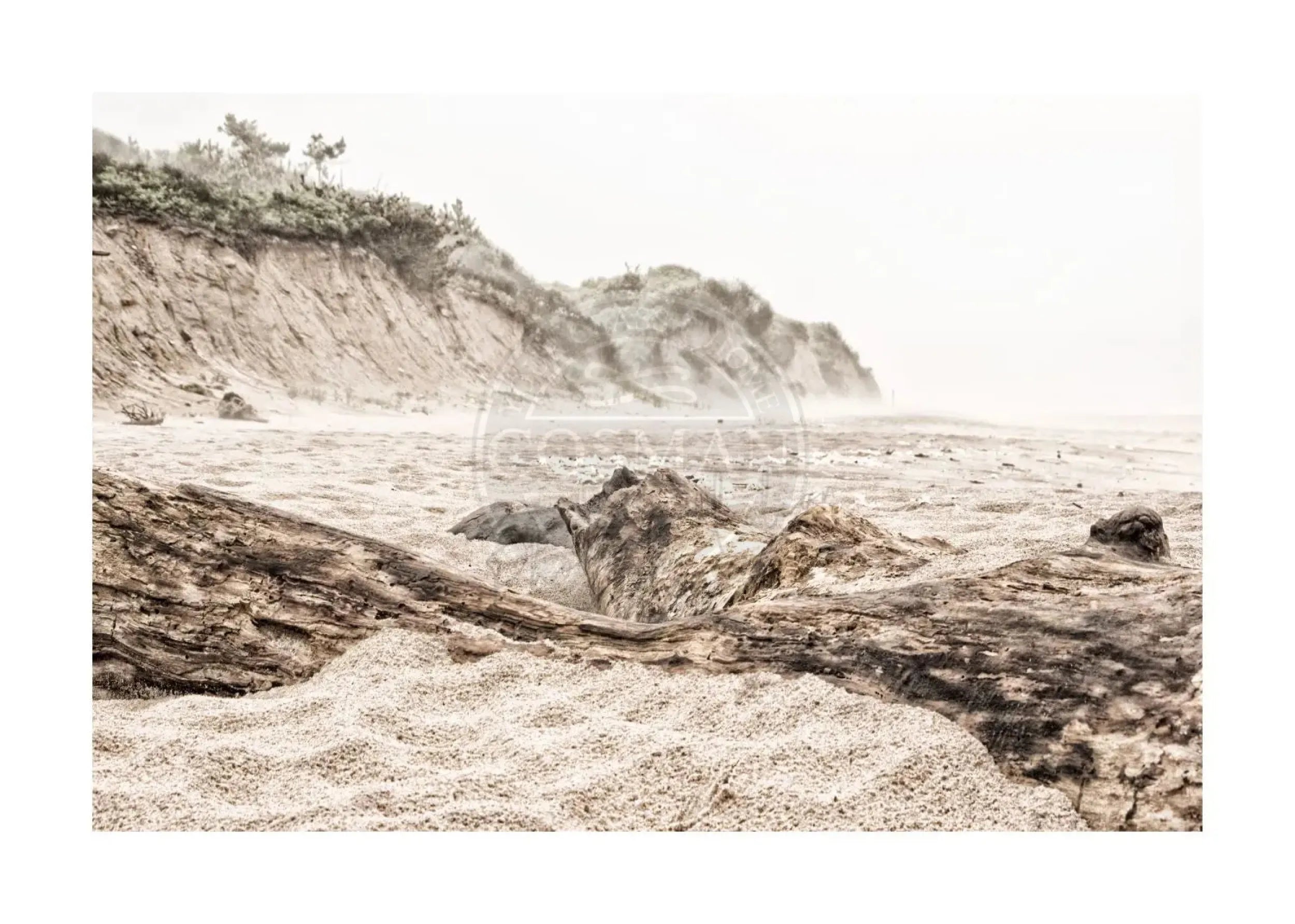Schwarz-weißer Poster Druck Hamptons Long Island Beach von Cosman-Photocollection, A4-Format, mit weißem Rand