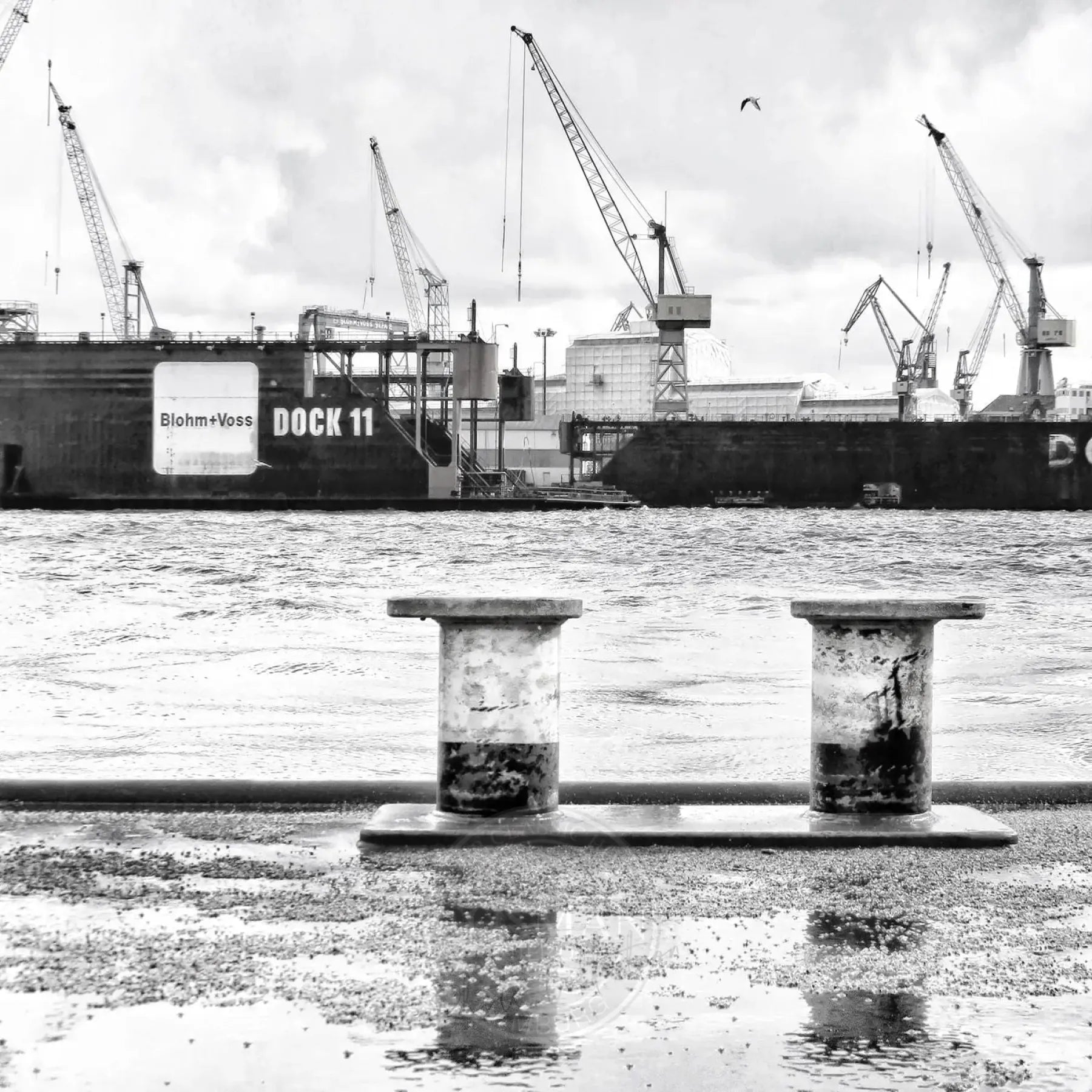 Schwarz-Weiß-Poster des Hamburger Hafens „Dock 11“ von Cosman-Photocollection, 40x40cm, mit weißem Rand.