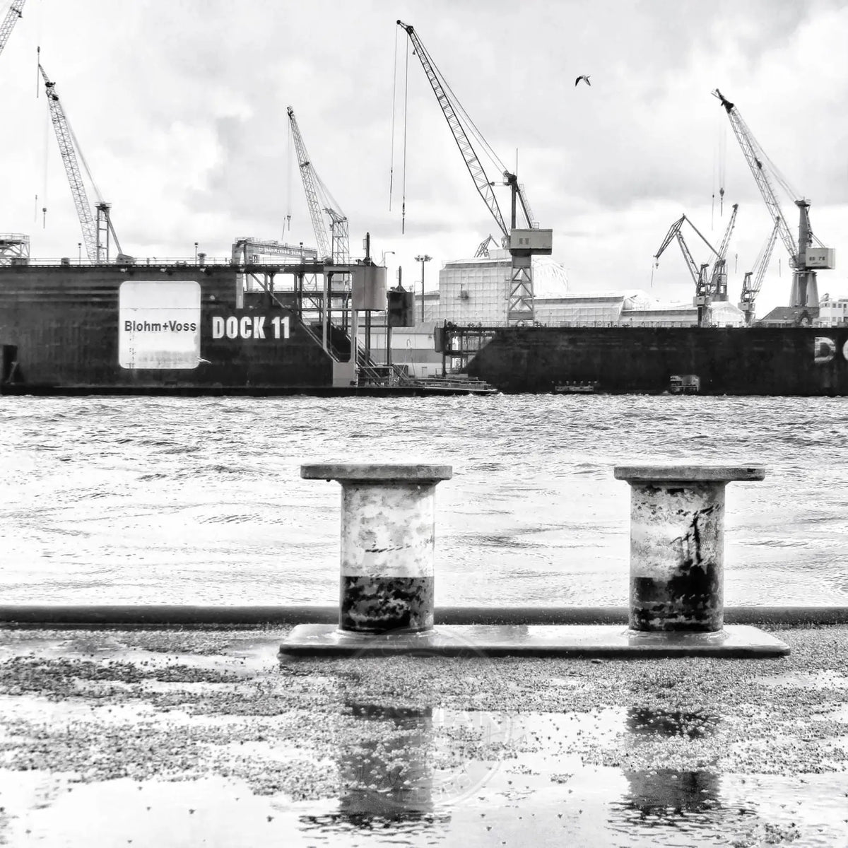 Schwarz-Weiß-Poster des Hamburger Hafens „Dock 11“ von Cosman-Photocollection, 40x40cm, mit weißem Rand.