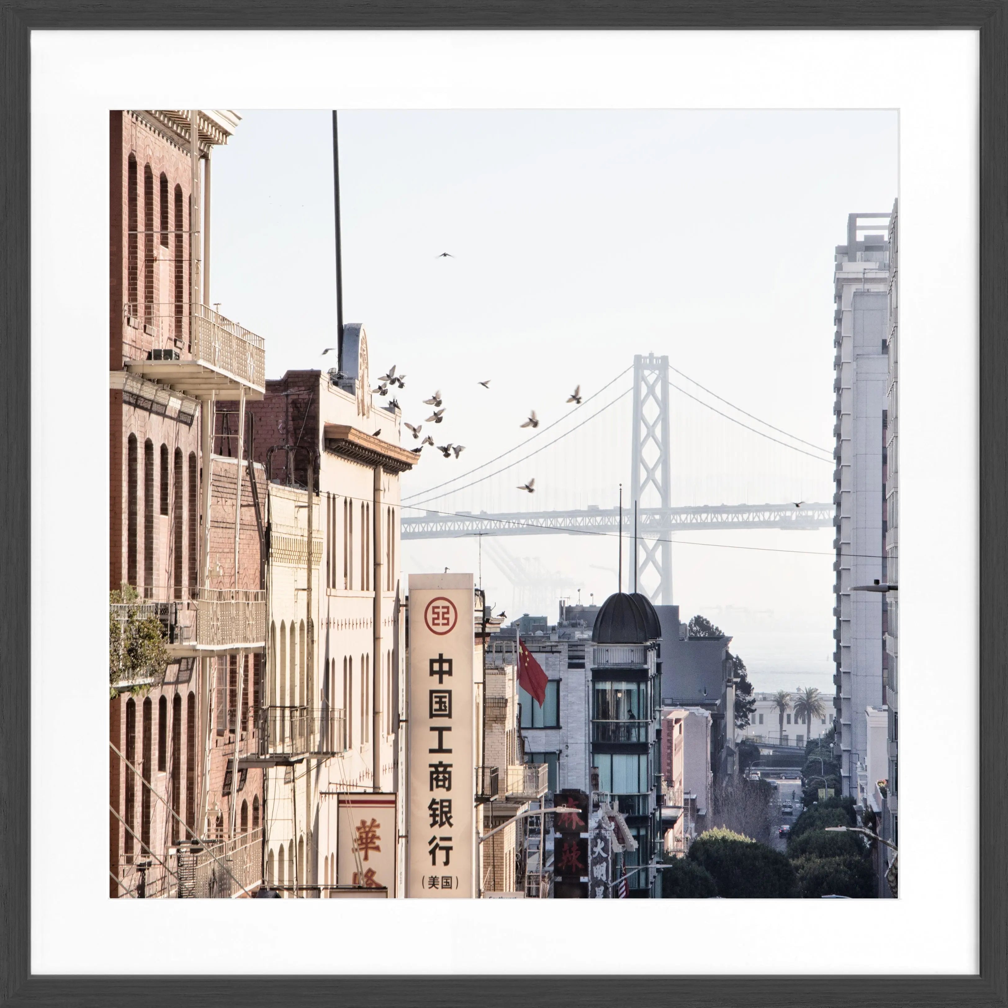 Schwarz-weiß Poster mit Rahmen von Cosman-Photocollection, Bay Bridge in San Francisco, quadratisches Format 55x55cm
