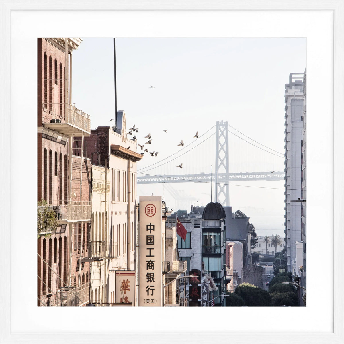 Schwarz-weiß Poster mit Rahmen von Cosman-Photocollection, Bay Bridge San Francisco, quadratisch 55x55cm, urbanes Motiv