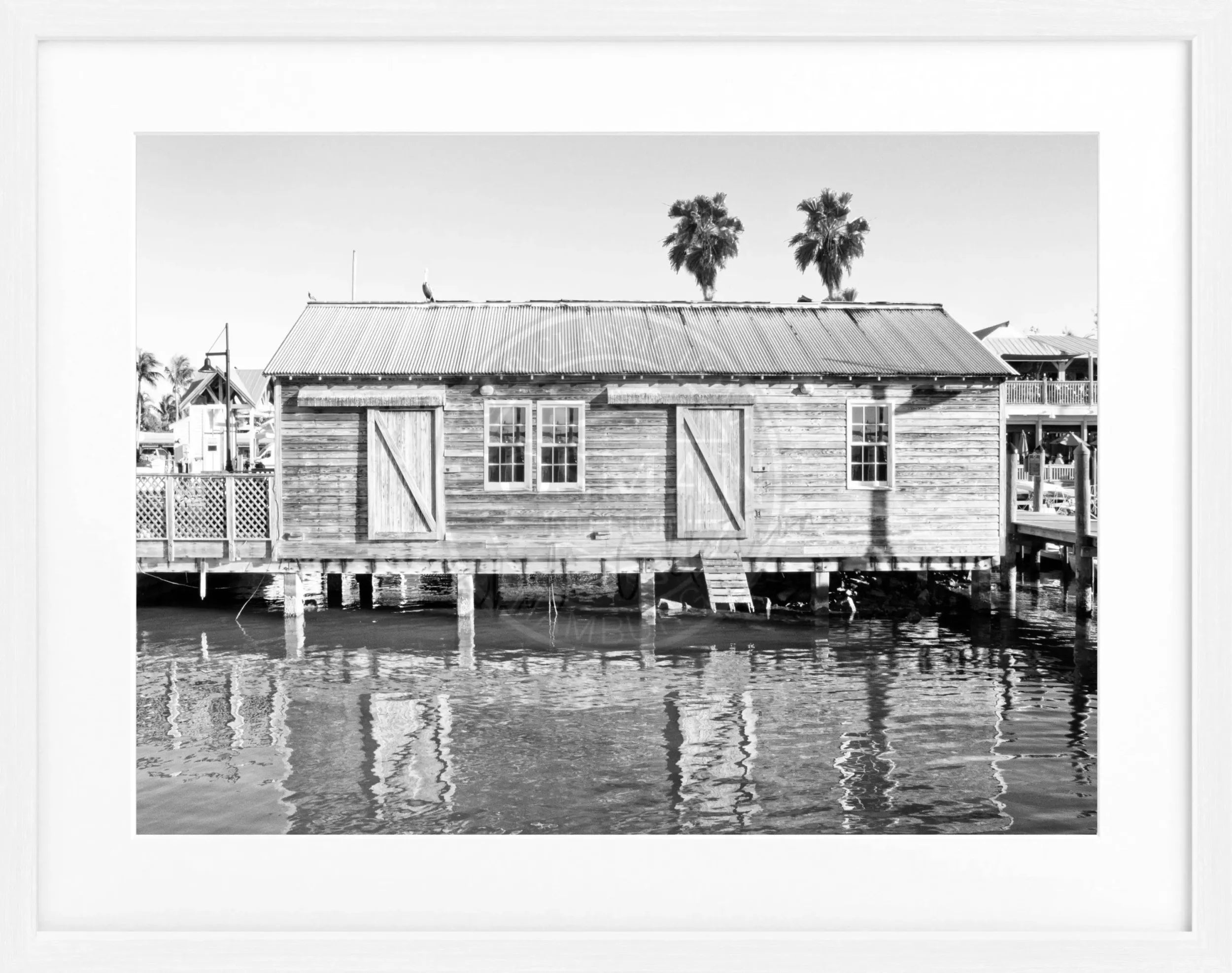 Poster mit Rahmen Florida Key West FL02 by Cosman-Photocollection