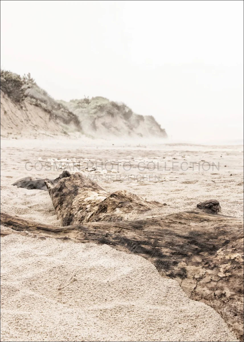 Poster / Druck Hamptons Long Island ’Beach’ HM17