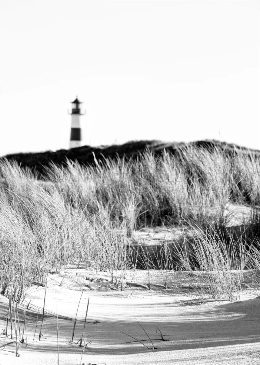 Poster / Druck Sylt ’Dünen’ SY68 - Wandbilder