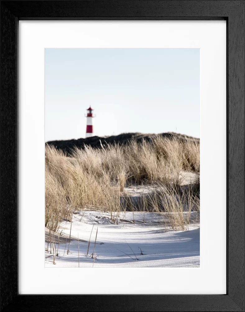 Poster ’Dünen’ Sylt SY68 - Wandbilder