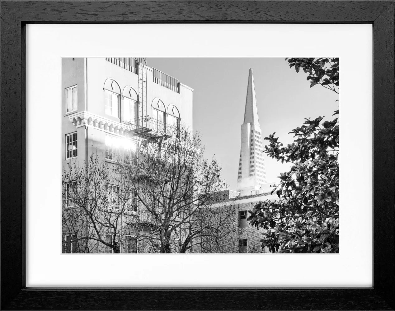 Poster ’Transamerica Pyramid Center’ San Francisco SF01