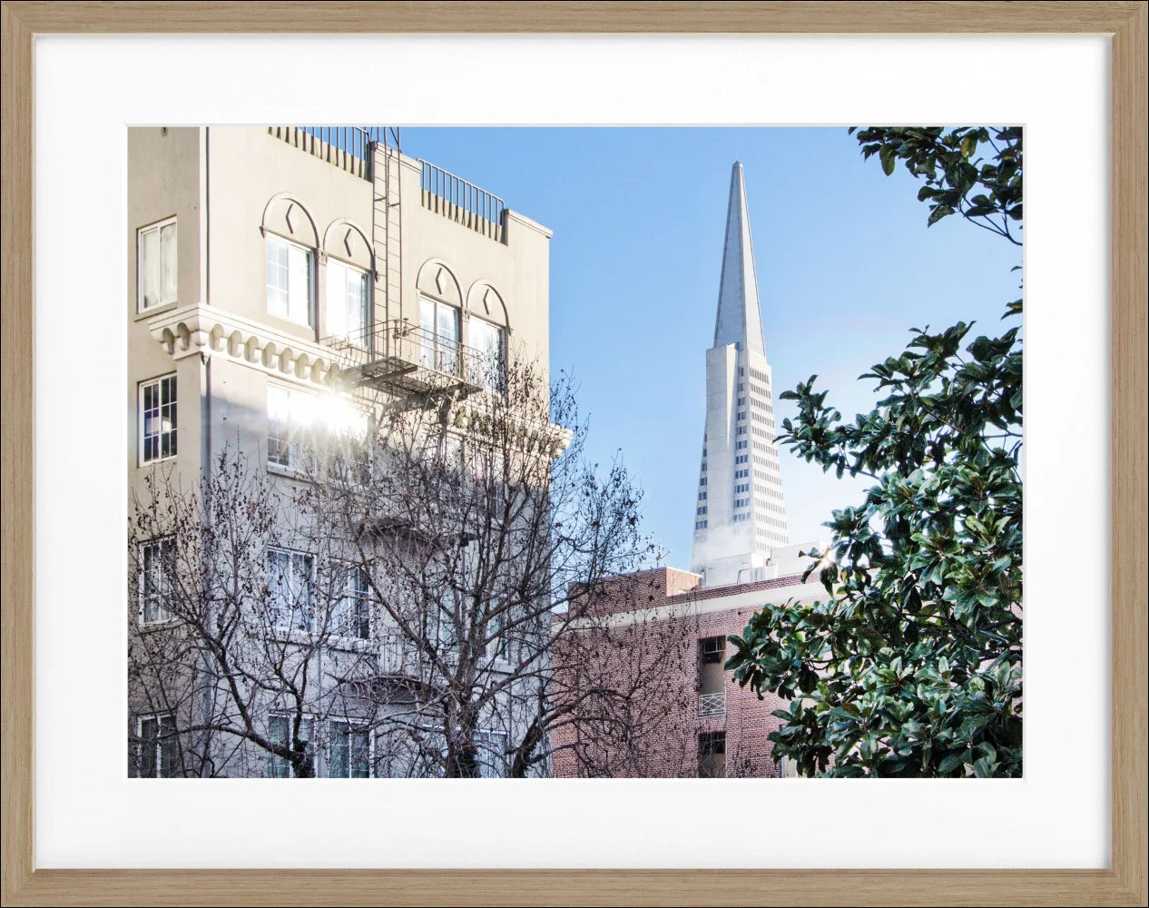Poster ’Transamerica Pyramid Center’ San Francisco SF01