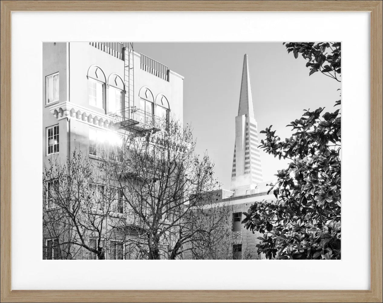Poster ’Transamerica Pyramid Center’ San Francisco SF01