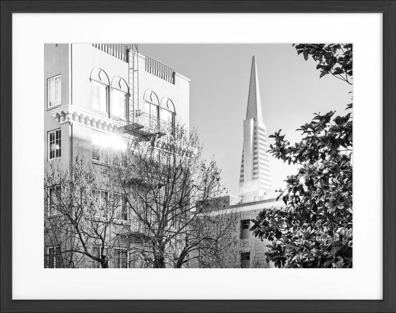 Poster ’Transamerica Pyramid Center’ San Francisco SF01