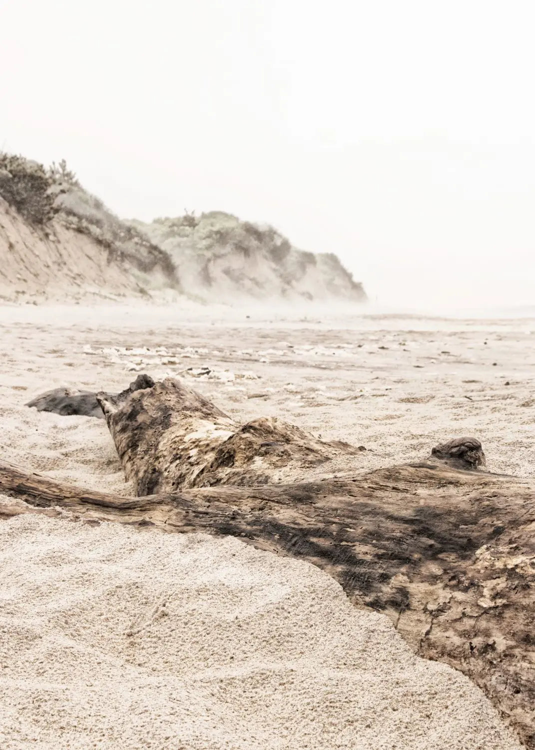 Poster / Druck Hamptons Long Island ’Beach’ HM17