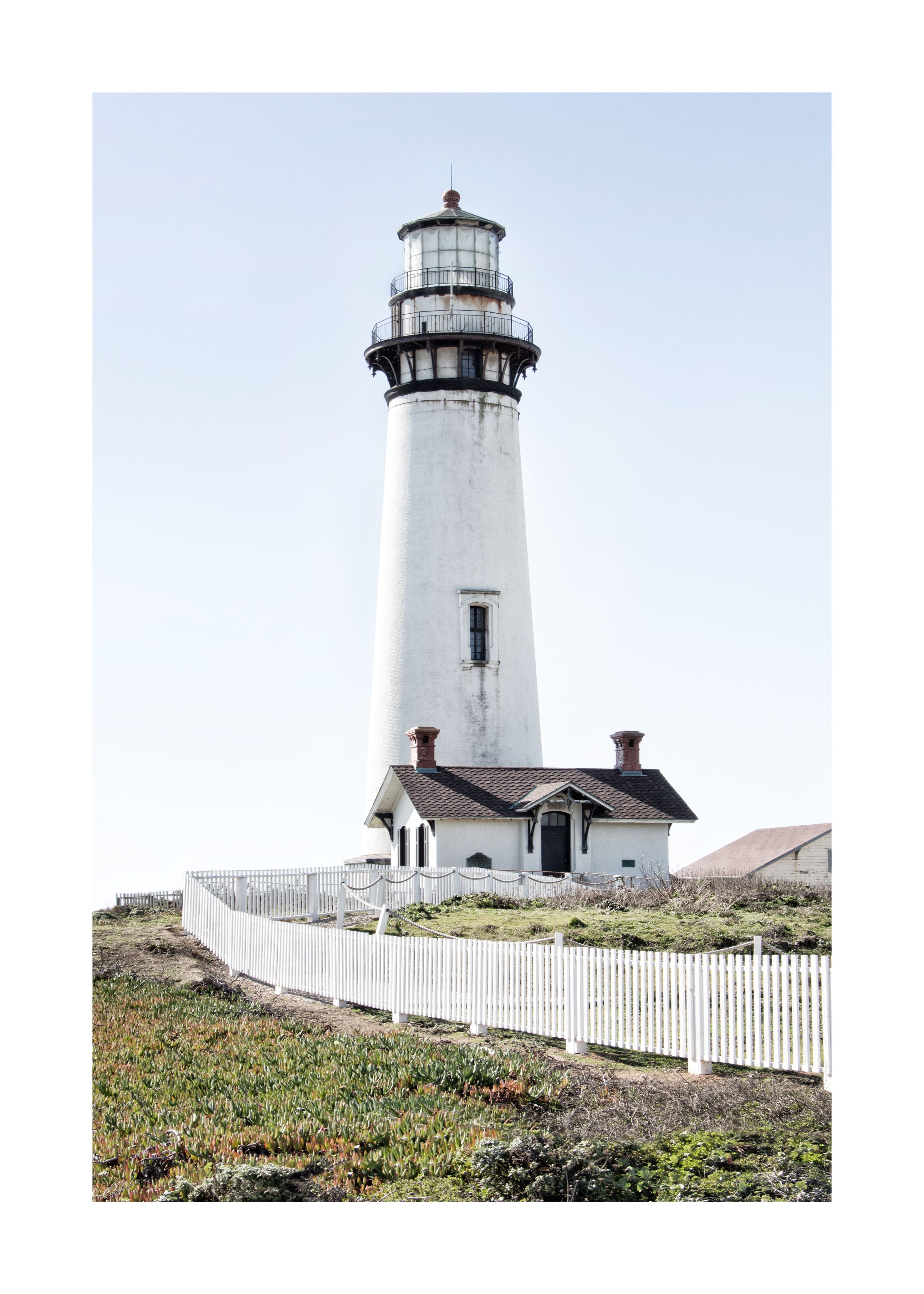 Poster / Print California 'Lighthouse Pigeon Point' L05