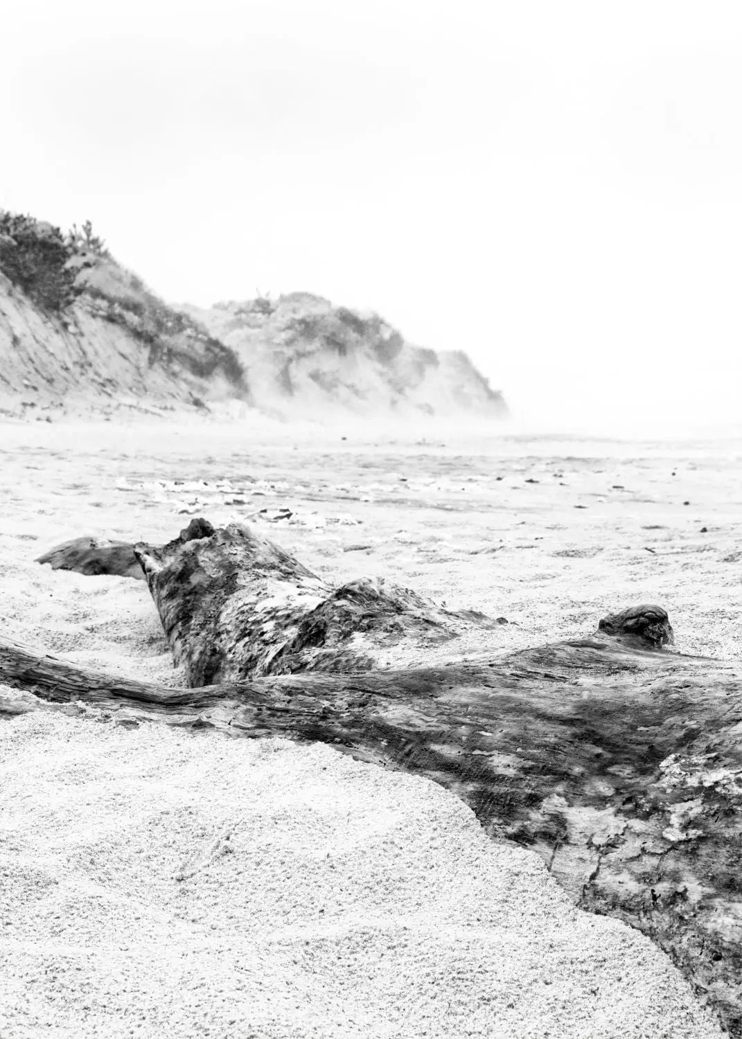 Schwarz-weiß Poster von Cosman-Photocollection, Hamptons Long Island Strand, A4 Größe, mit weißem Rand.