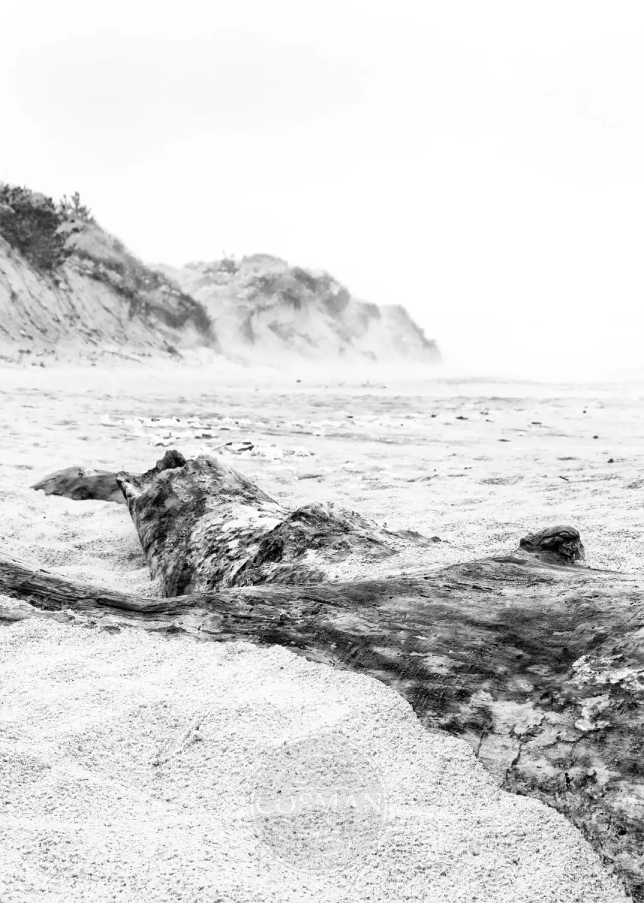 Schwarz-weiß Poster von Cosman-Photocollection, Hamptons Long Island Strand, A4 Größe, mit weißem Rand.