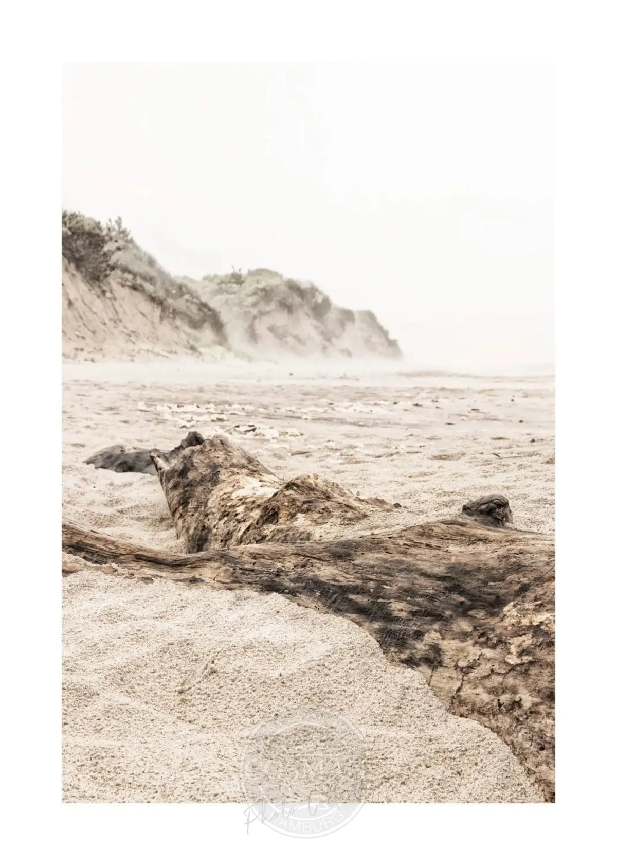 Schwarz-weiß Poster mit Strandmotiv in Hamptons, Long Island, im A4-Format, von Cosman-Photocollection.