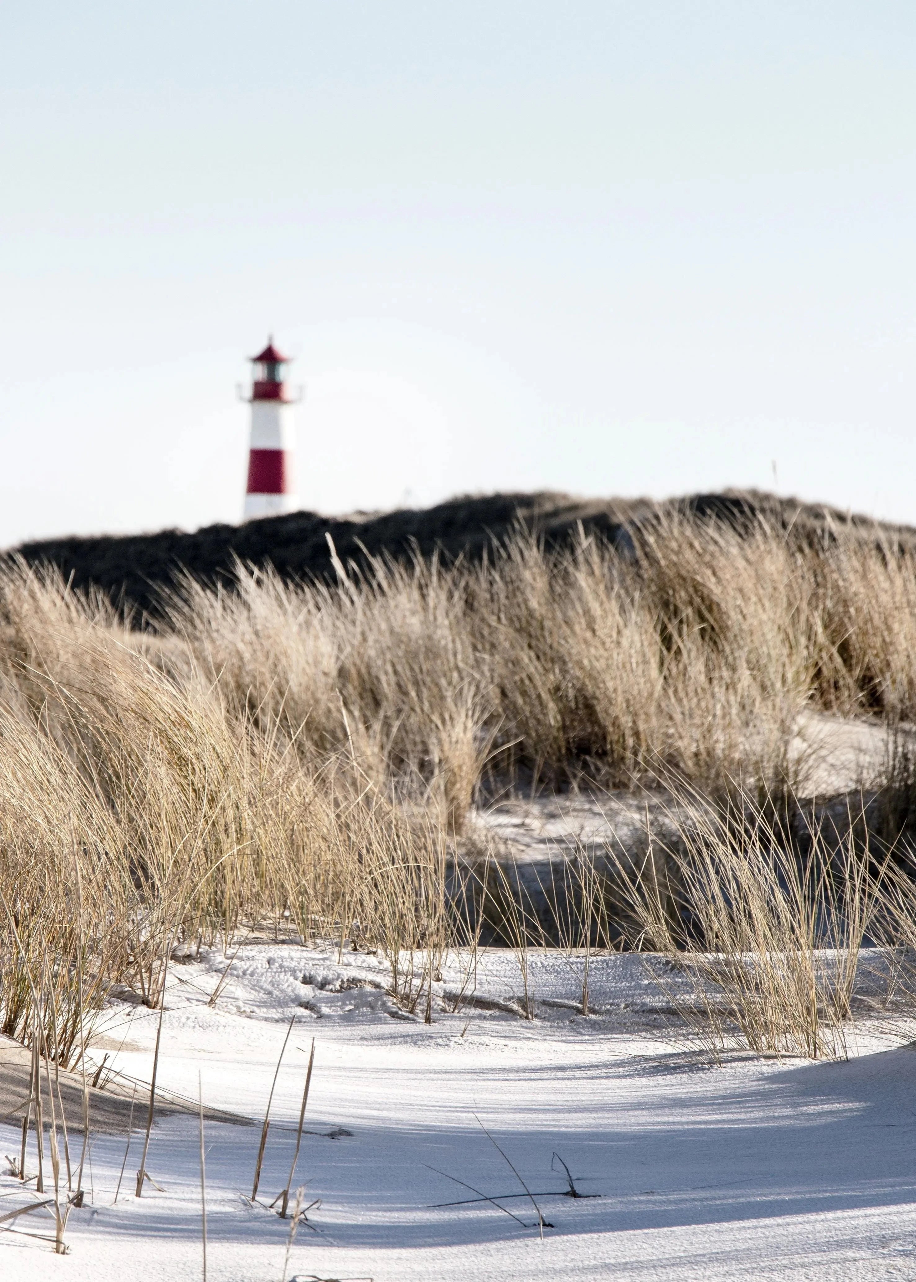 Schwarz-weiß Poster von Sylt mit Dünen, 21x29,7 cm, von Cosman-Photocollection, mit weißem Rand