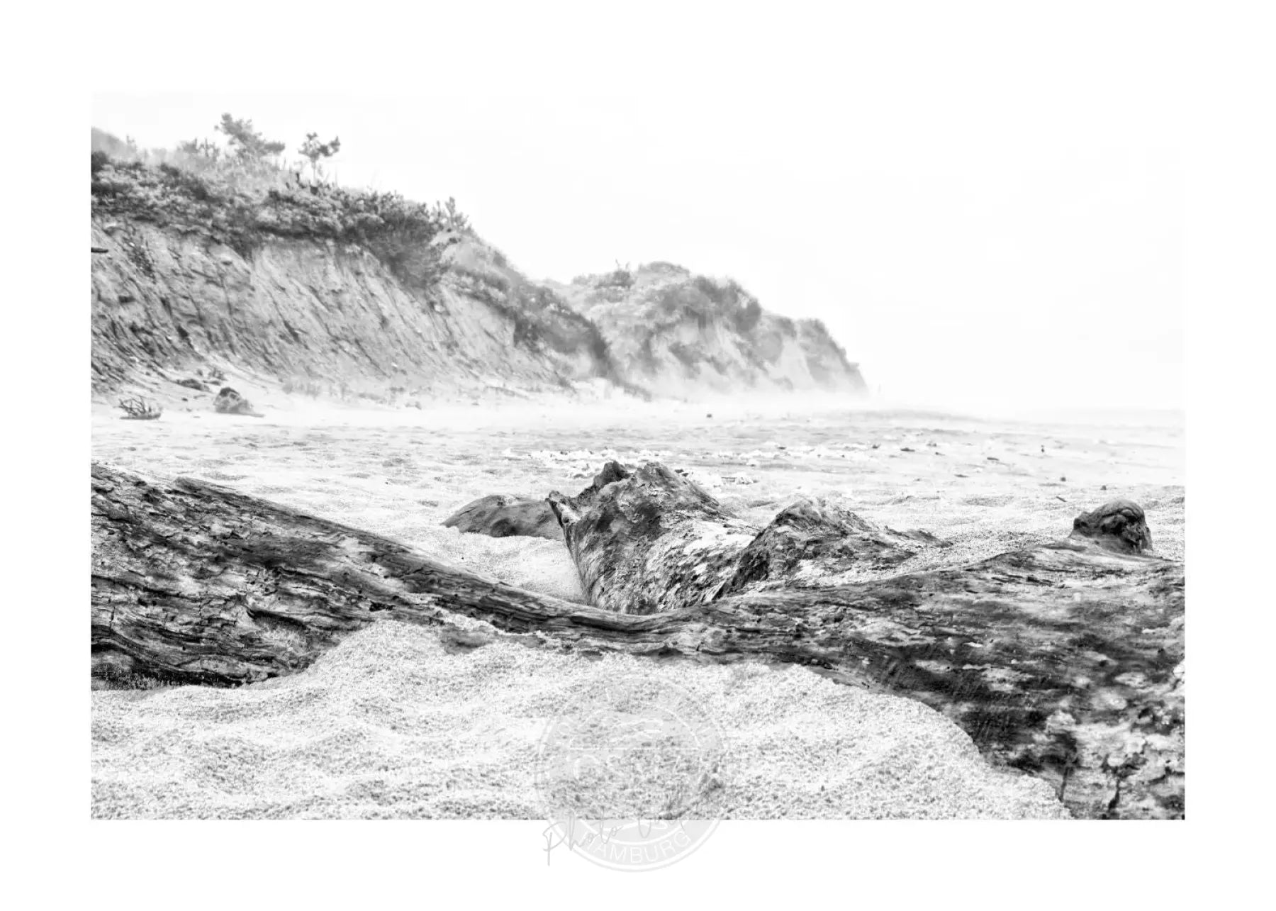 Schwarz-weißer Poster Druck Hamptons Long Island Beach von Cosman-Photocollection, A4-Größe mit weißem Rand
