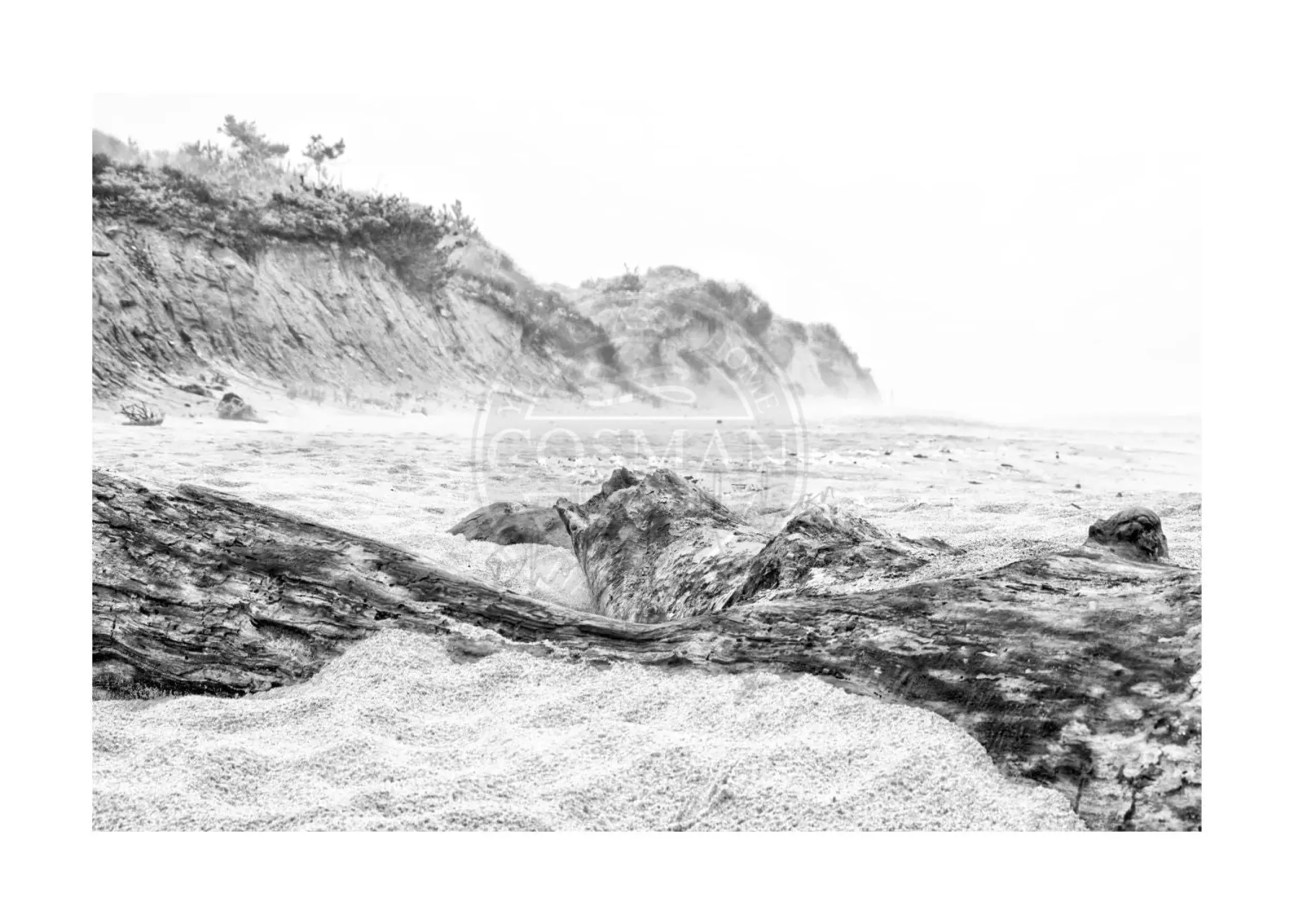 Schwarz-weißer Poster Druck Hamptons Long Island Beach von Cosman-Photocollection, A4-Größe mit weißem Rand