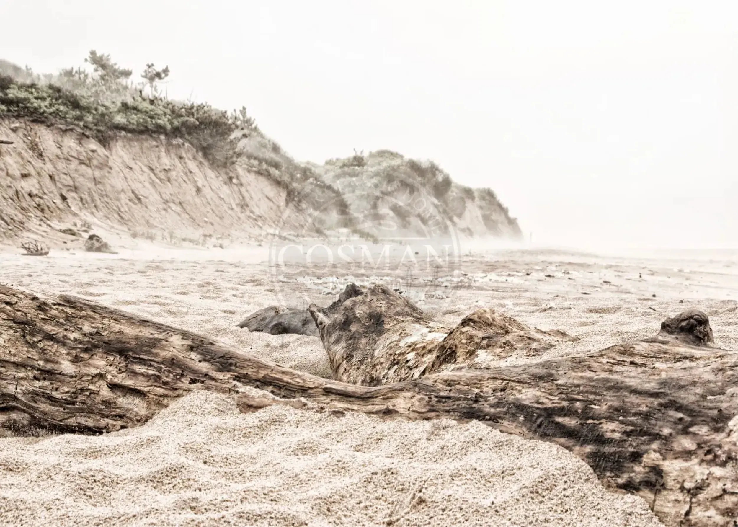 Schwarz-weiß Poster Hamptons Long Island ’Beach’ von Cosman-Photocollection, A4-Größe, mit weißem Rand, Meereslandschaft