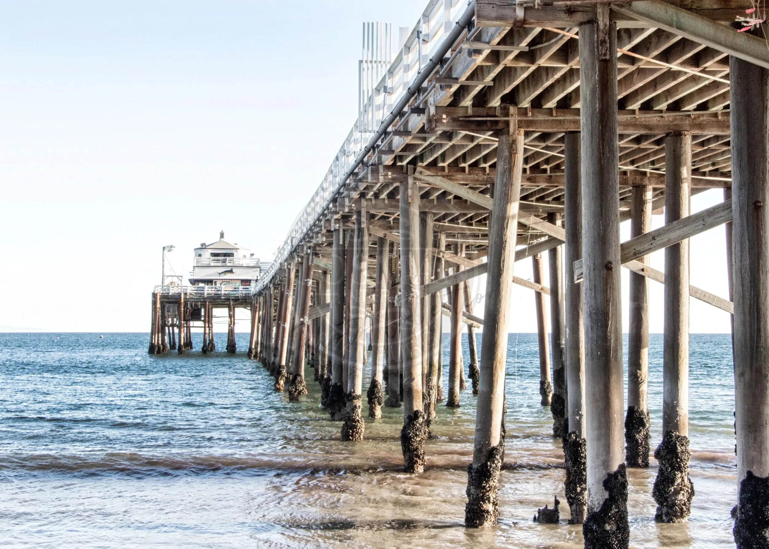 Schwarz-Weiß-Poster von Malibu Beach Pier in Kalifornien, von Cosman-Photocollection, mit weißem Rand, A4-Größe