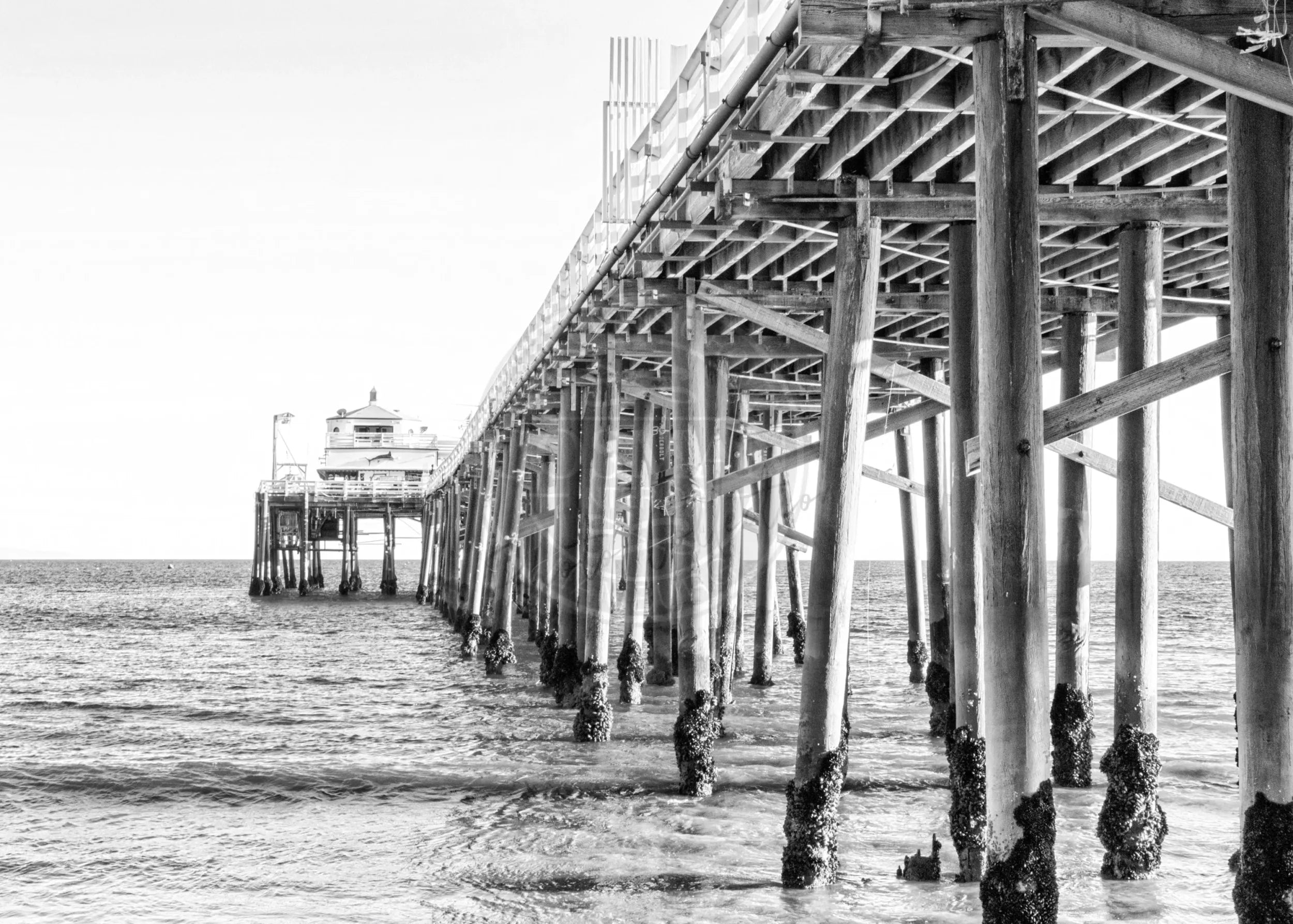 Schwarz-Weiß-Poster von Malibu Beach Pier in Kalifornien, von Cosman-Photocollection, mit weißem Rand, A4-Größe.