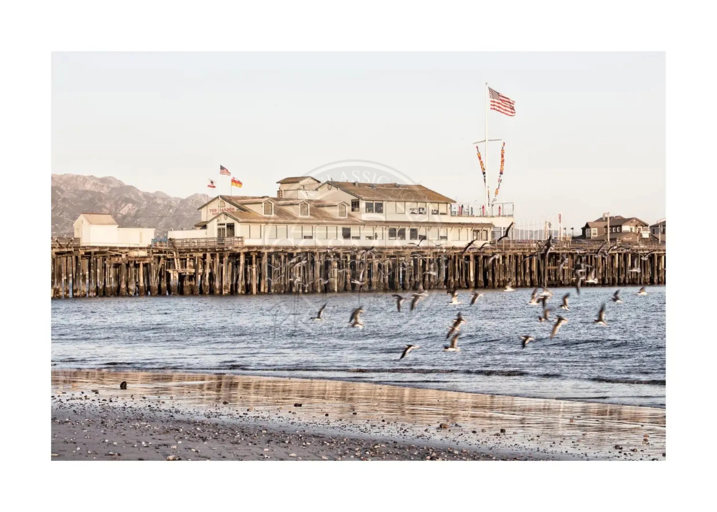 Schwarz-Weiß-Poster von Santa Barbara Pier in Kalifornien, von Cosman-Photocollection, mit weißem Rand, A4-Größe