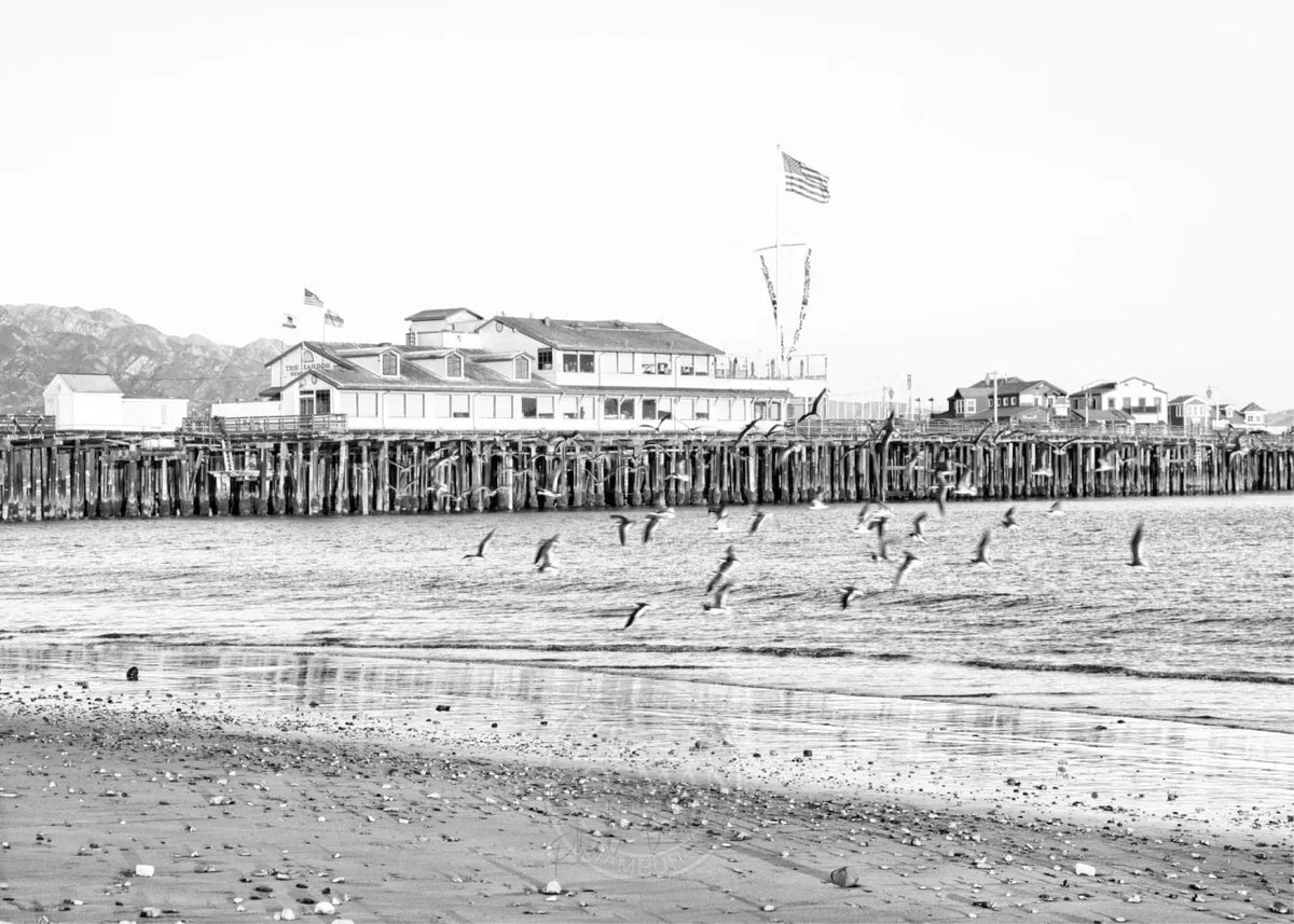 Schwarz-weiß Poster von Santa Barbara Pier in Kalifornien, von Cosman-Photocollection, A4 Größe, mit weißem Rand.