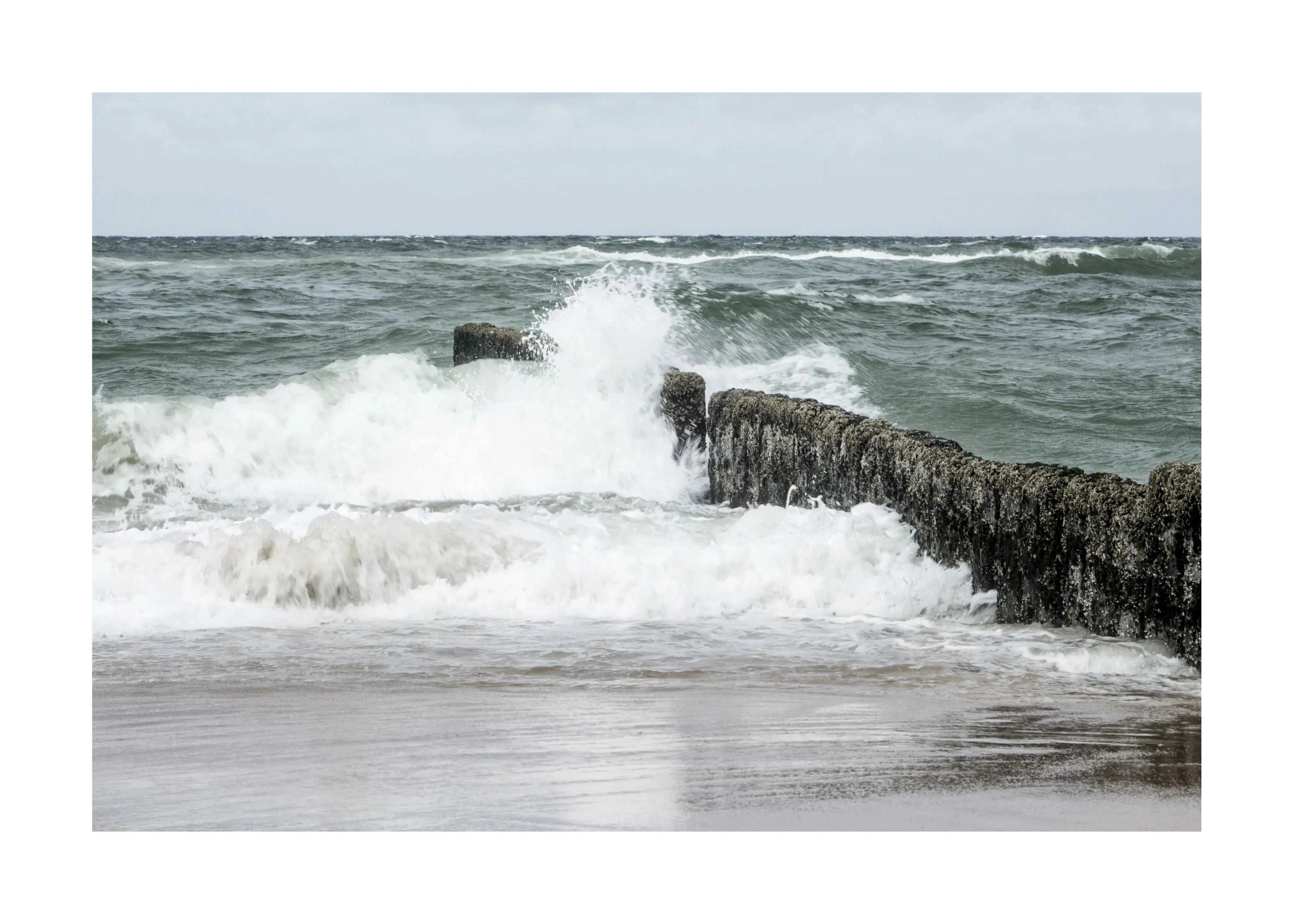 Schwarz-weiß Poster vom Strand Sylt mit Buhne, 29,7x21cm, von Cosman-Photocollection, mit weißem Rand.