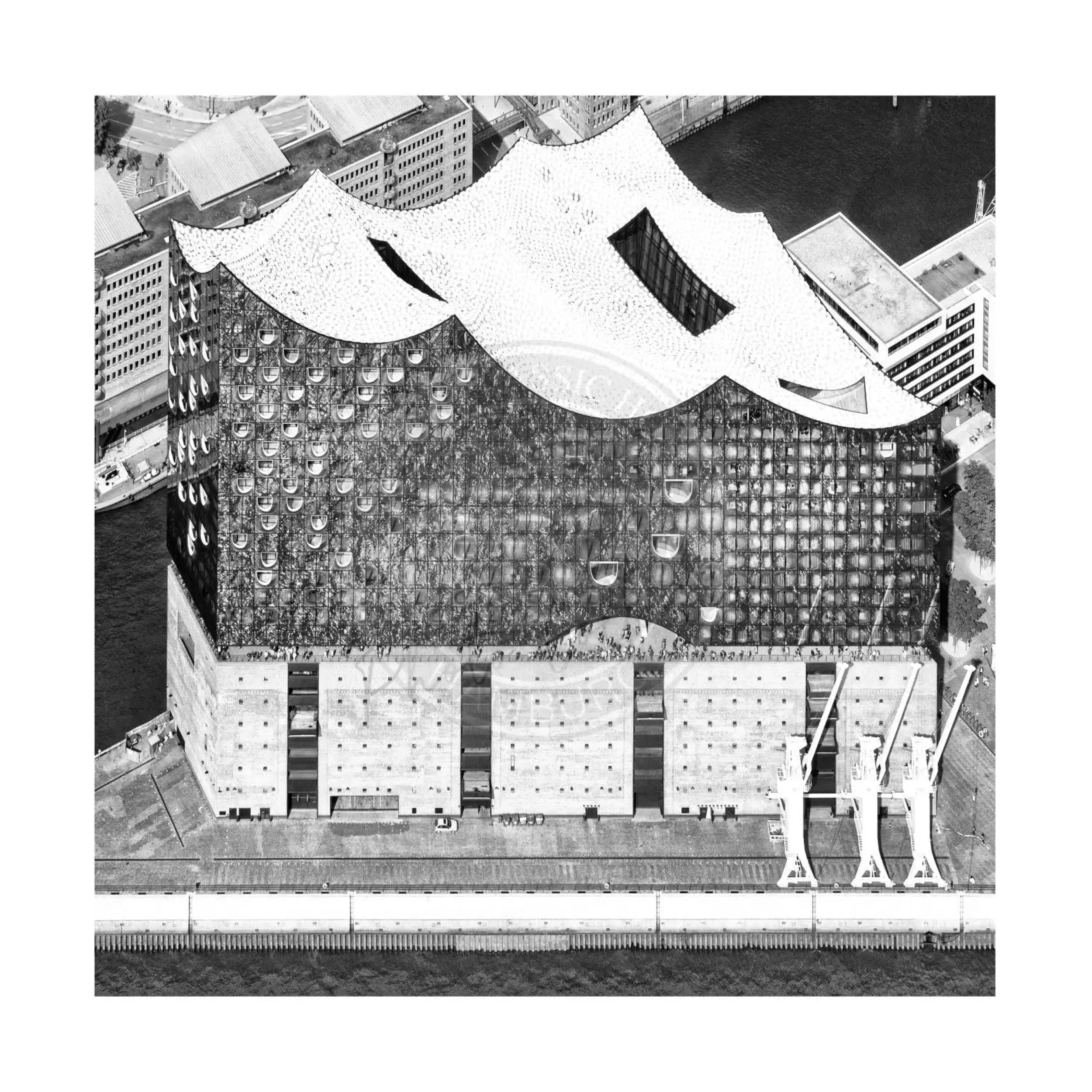Schwarz-weißer Poster Druck Hamburg Elphi von Cosman-Photocollection, 40cm x 40cm, mit weißem Rand