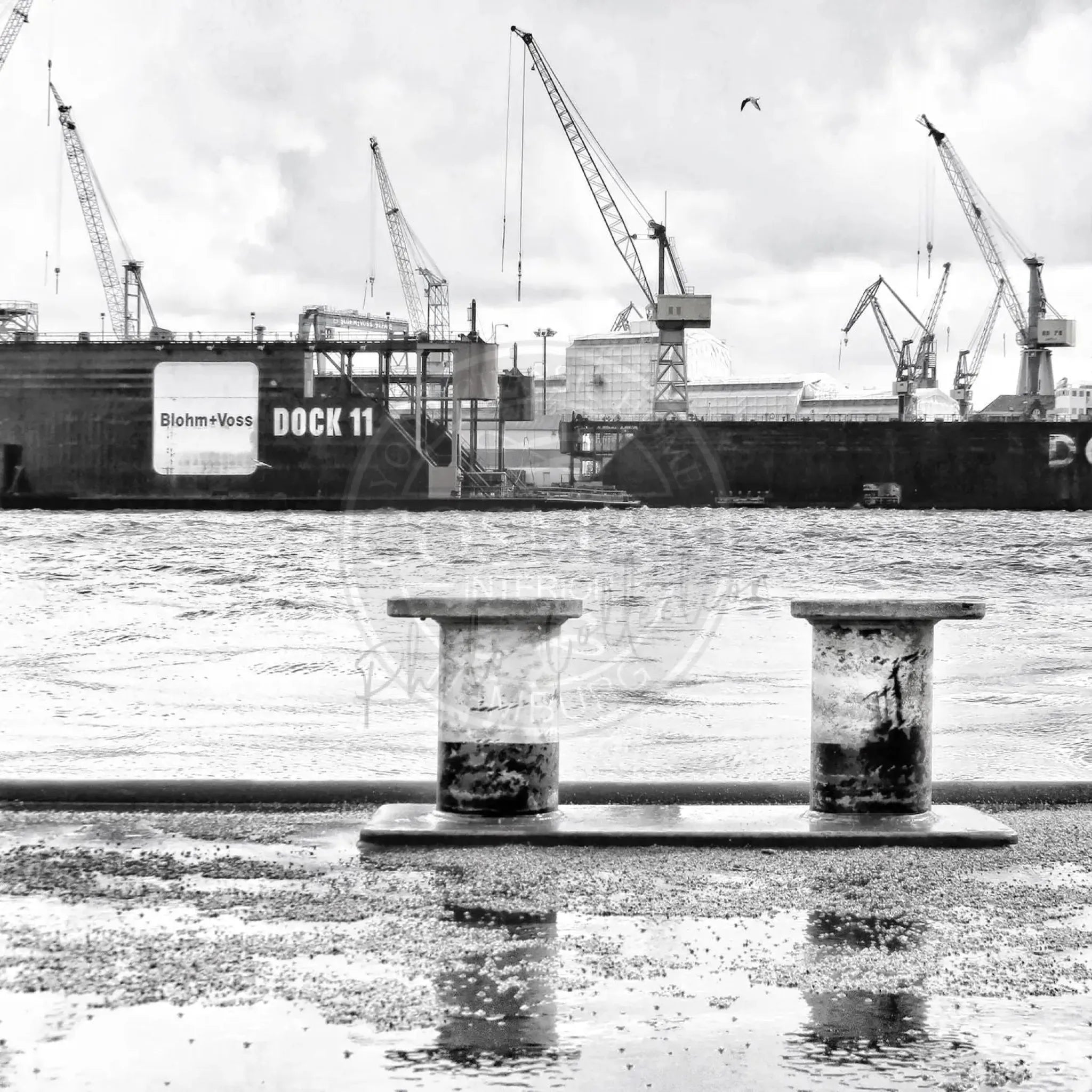 Schwarz-Weiß-Poster des Hamburger Hafens „Dock 11“ von Cosman-Photocollection, 40x40cm, mit weißem Rand.