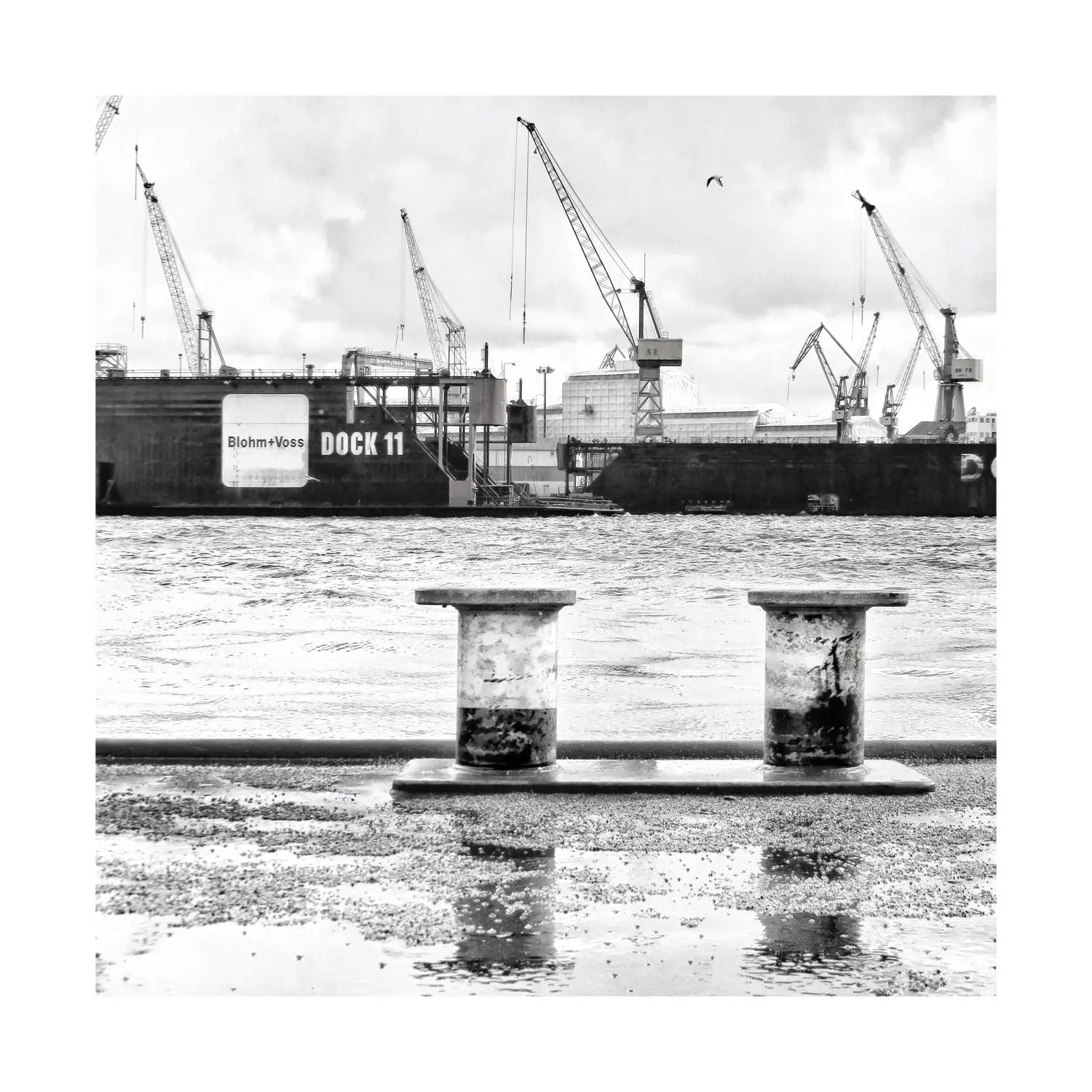 Schwarz-weiß Poster des Hamburger Hafens mit Dock 11, 40x40cm, von Cosman-Photocollection, mit weißem Rand.