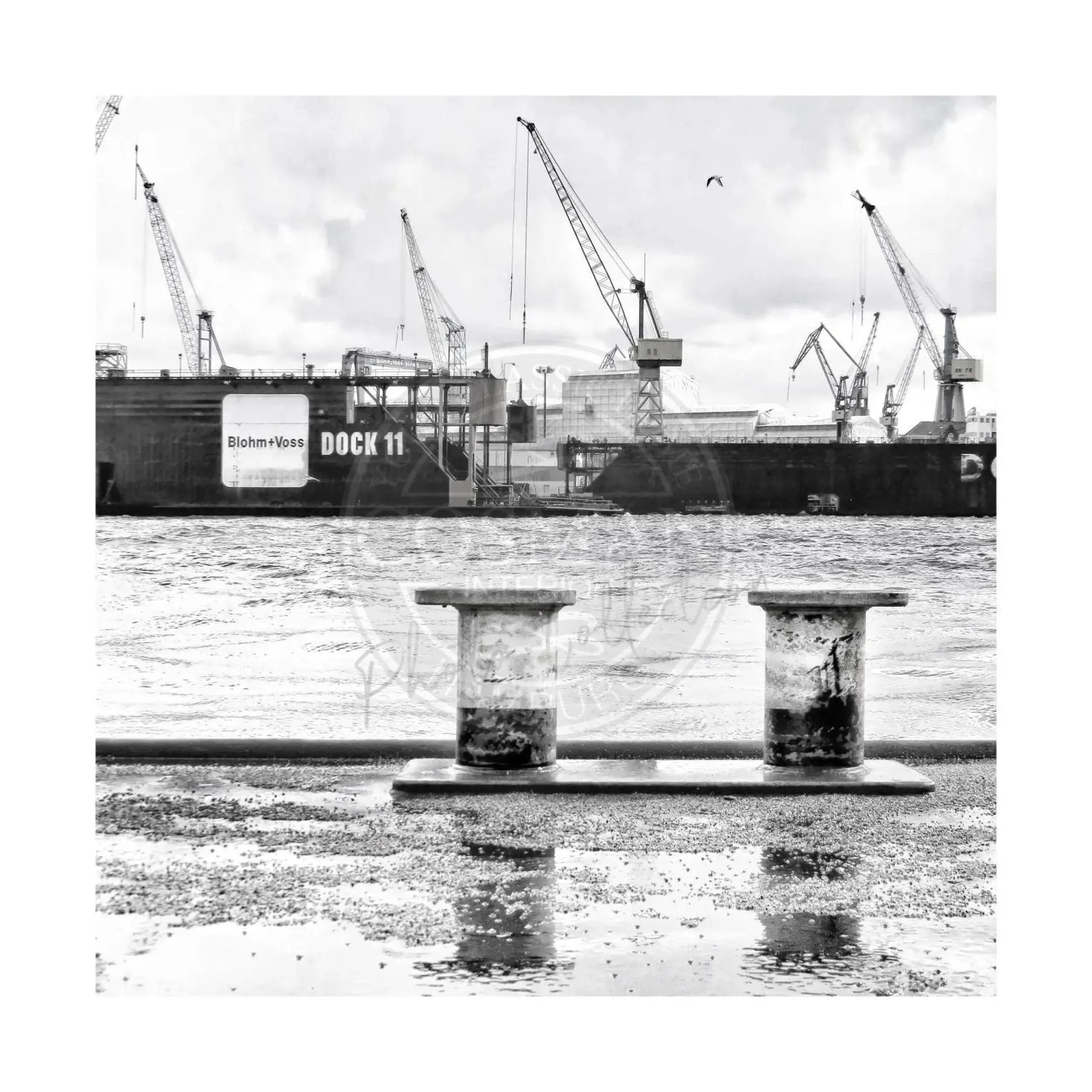 Schwarzweiß-Poster des Hamburger Hafens mit Dock 11 Motiv, 40x40cm, von Cosman-Photocollection, mit weißem Rand.