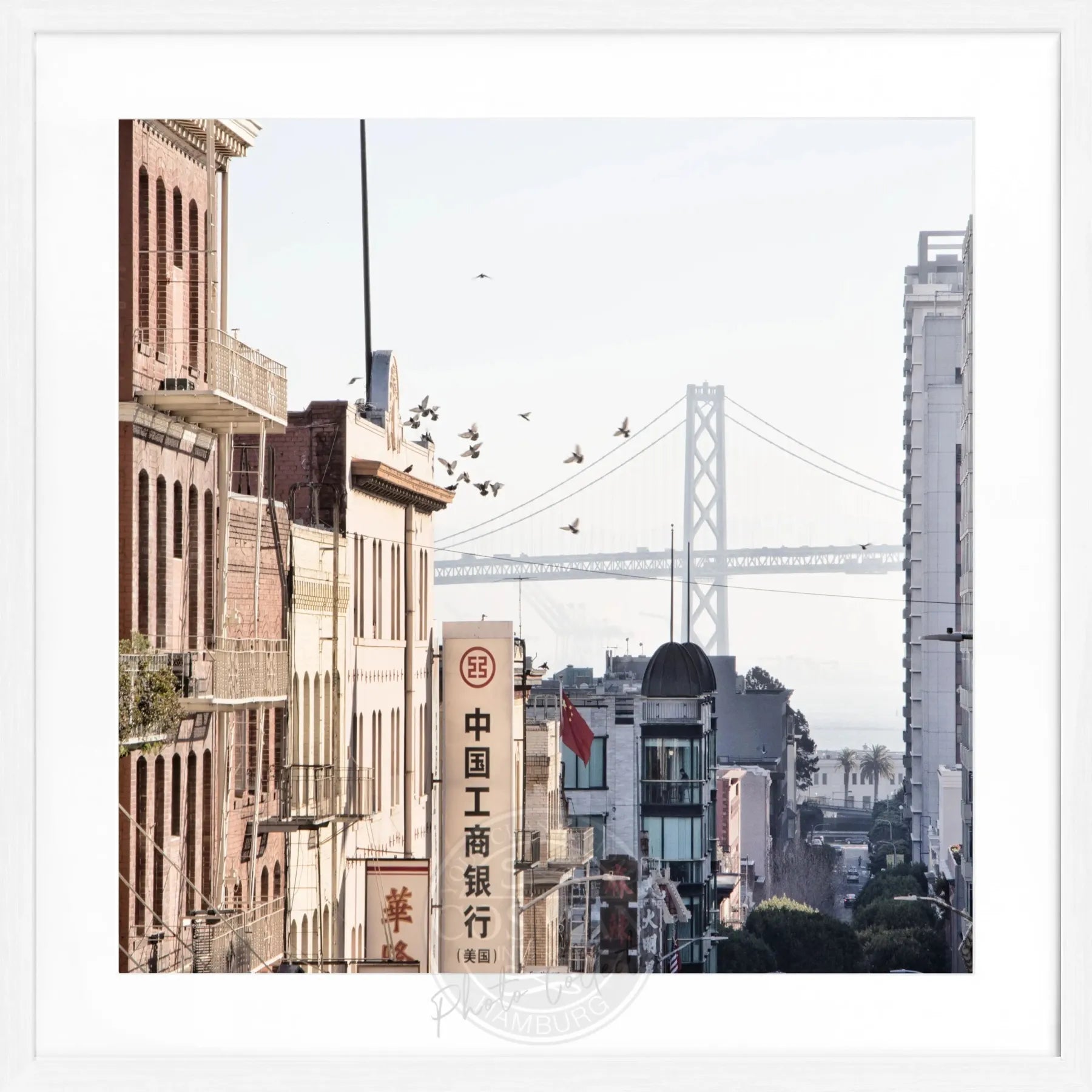 Schwarz-weiß Poster mit Rahmen von Cosman-Photocollection, Bay Bridge San Francisco, quadratisch 55x55cm, urbanes Motiv