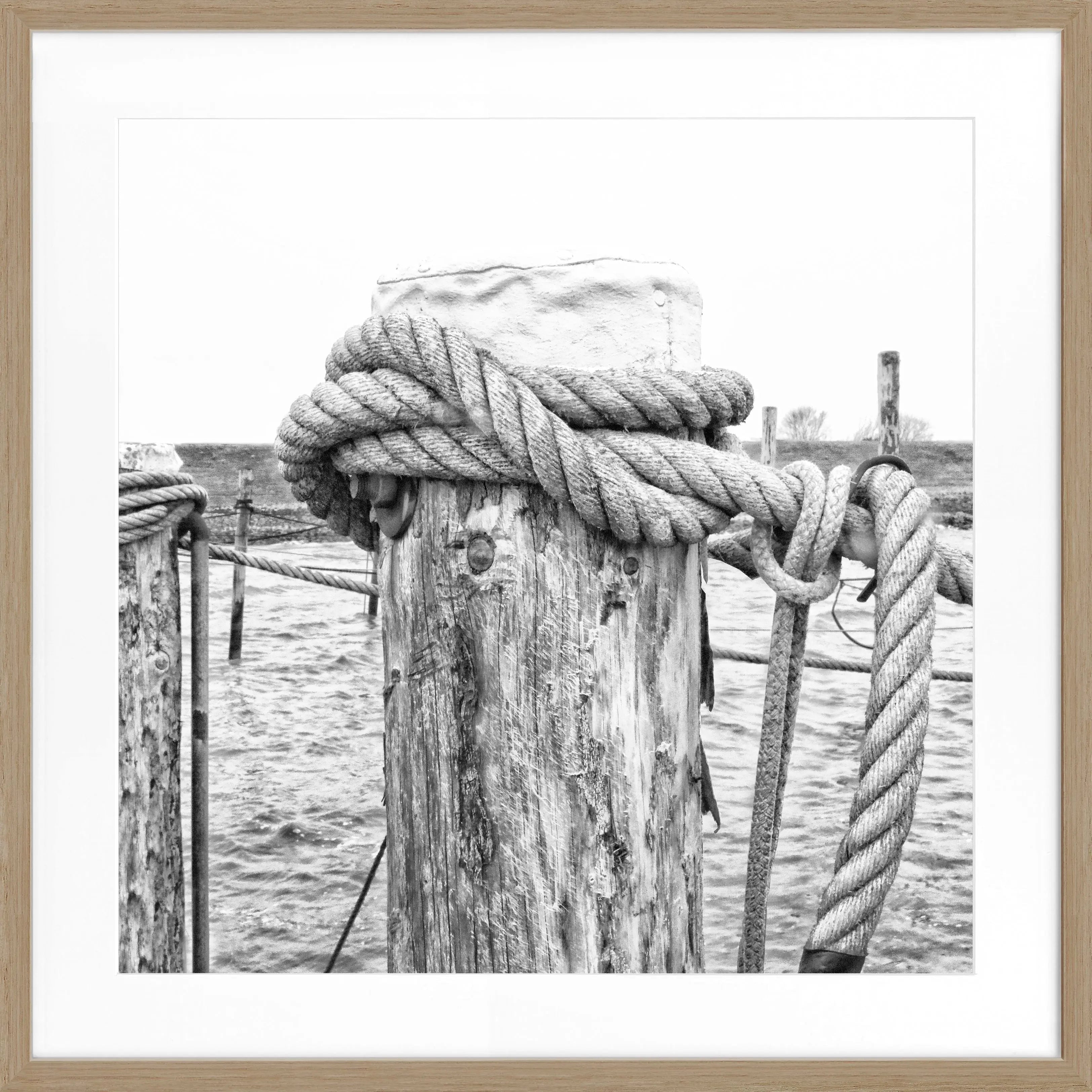 Schwarz-weiß Poster mit Rahmen, Motiv ’Poller’ in Rantum, Sylt, von Cosman-Photocollection, quadratisch 55x55 cm