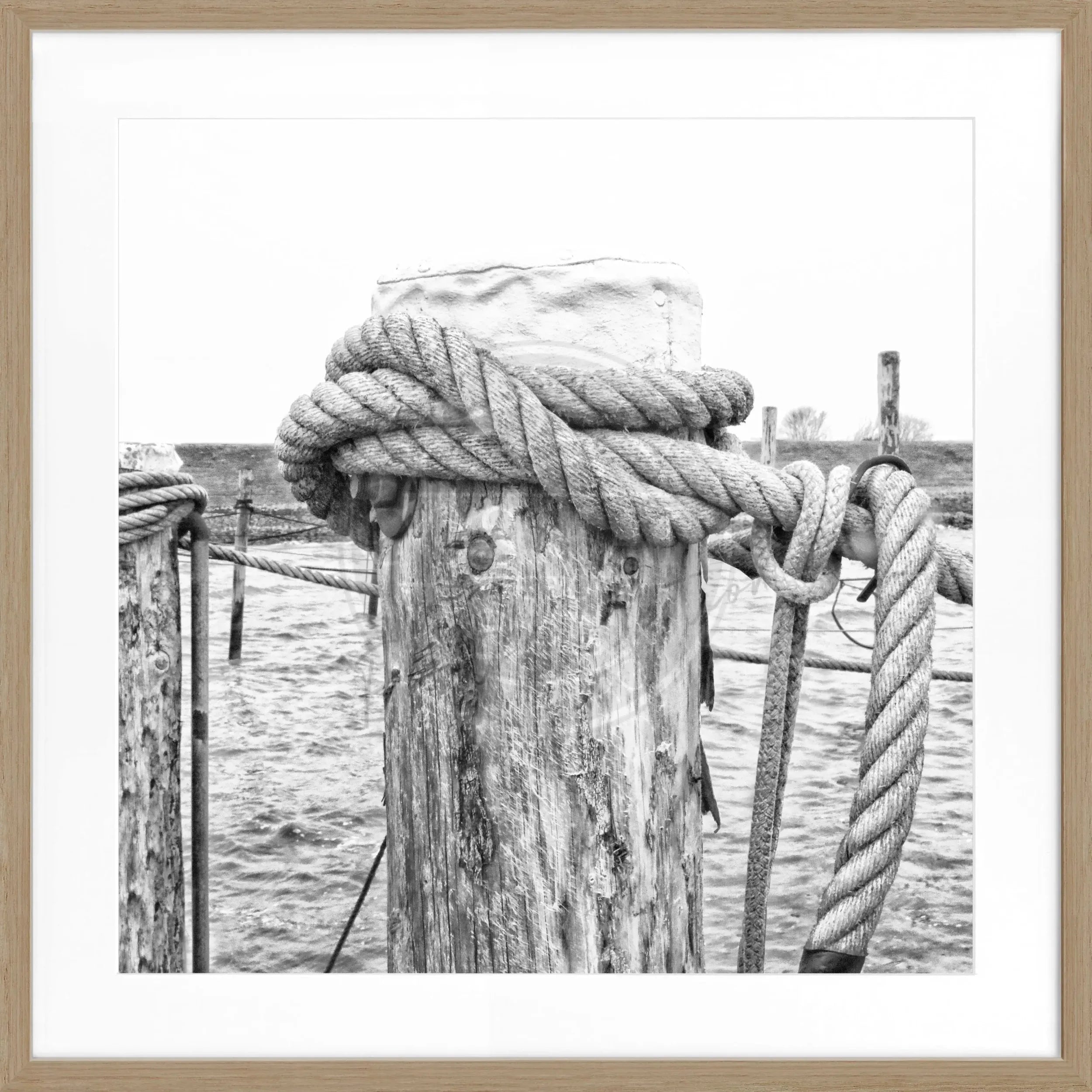 Schwarz-weißes Poster mit Rahmen von Cosman-Photocollection, zeigt das Motiv ‘Poller’ Rantum Sylt, quadratisch 55x55cm.