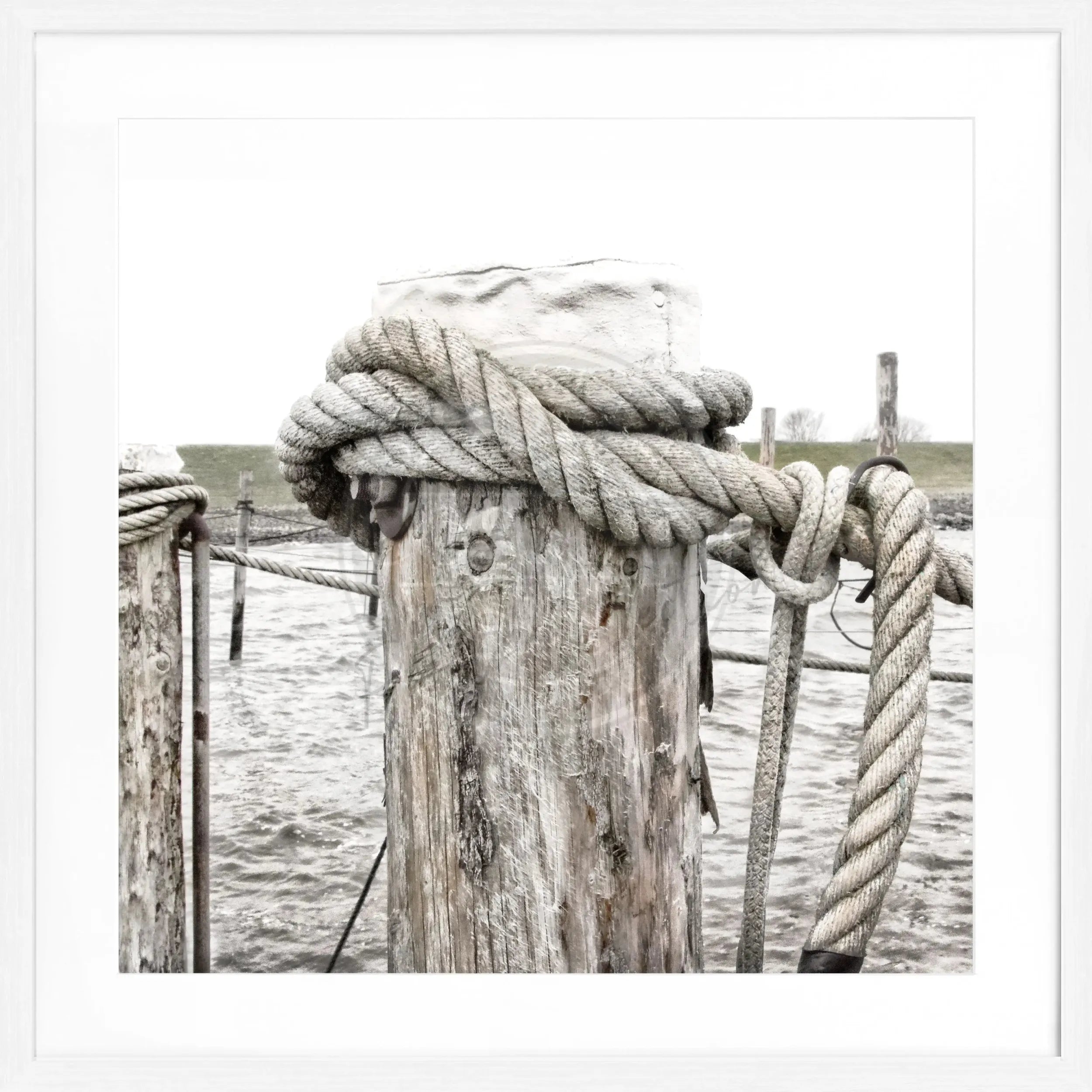 Schwarz-weiß Poster mit Rahmen ’Poller’ Rantum Sylt von Cosman-Photocollection, quadratisch, 55x55cm, Motiv an der Küste