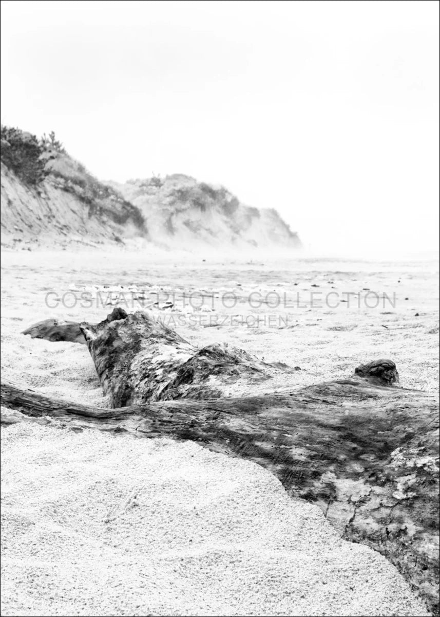 Poster / Druck Hamptons Long Island ’Beach’ HM17