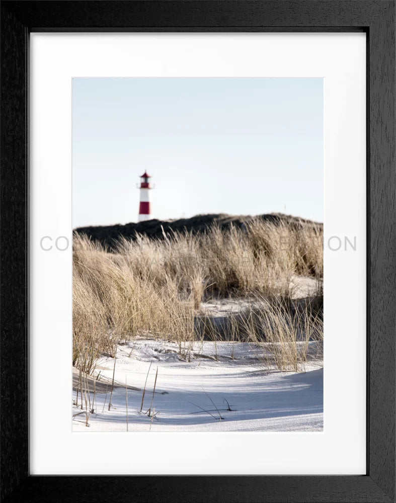 Poster ’Dünen’ Sylt SY68 - Wandbilder