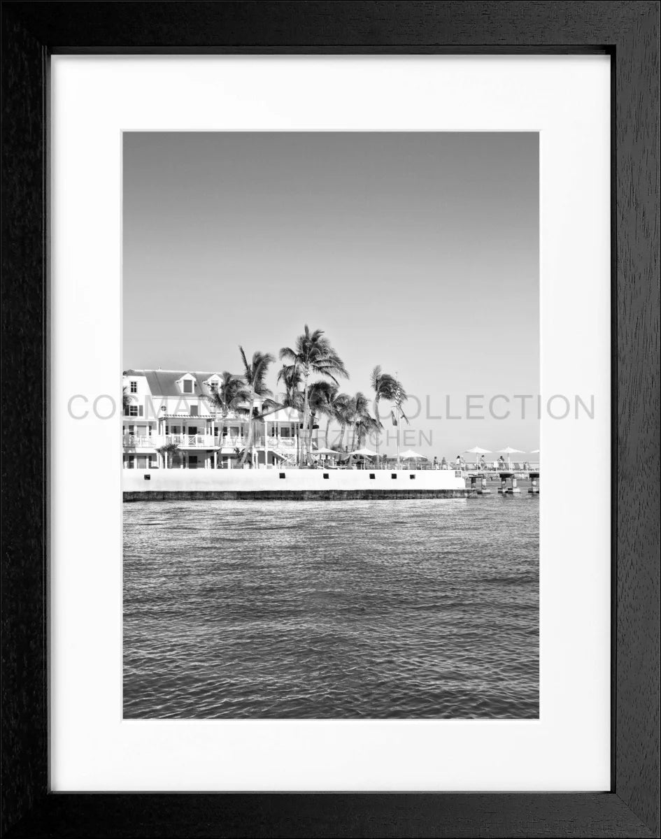 Poster mit Rahmen Florida Key West FL42B - Wandbilder