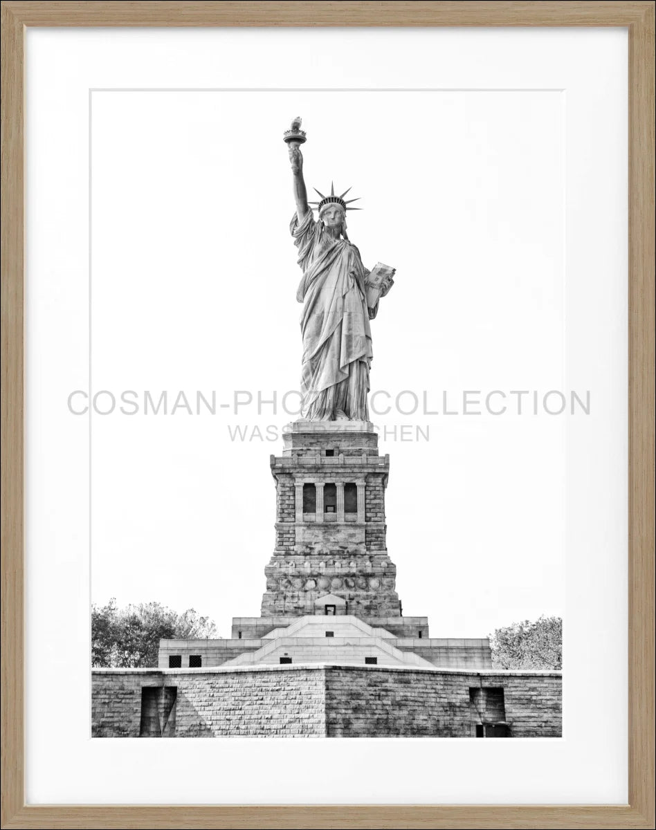 Poster mit Rahmen New York ’Lady Liberty’ NY109 - Wandbilder