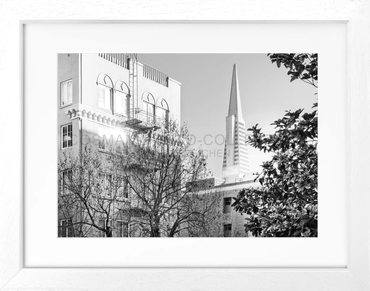 Poster ’Transamerica Pyramid Center’ San Francisco SF01