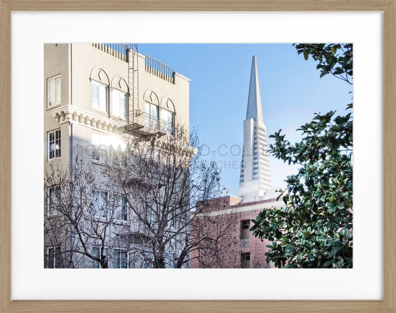 Poster ’Transamerica Pyramid Center’ San Francisco SF01