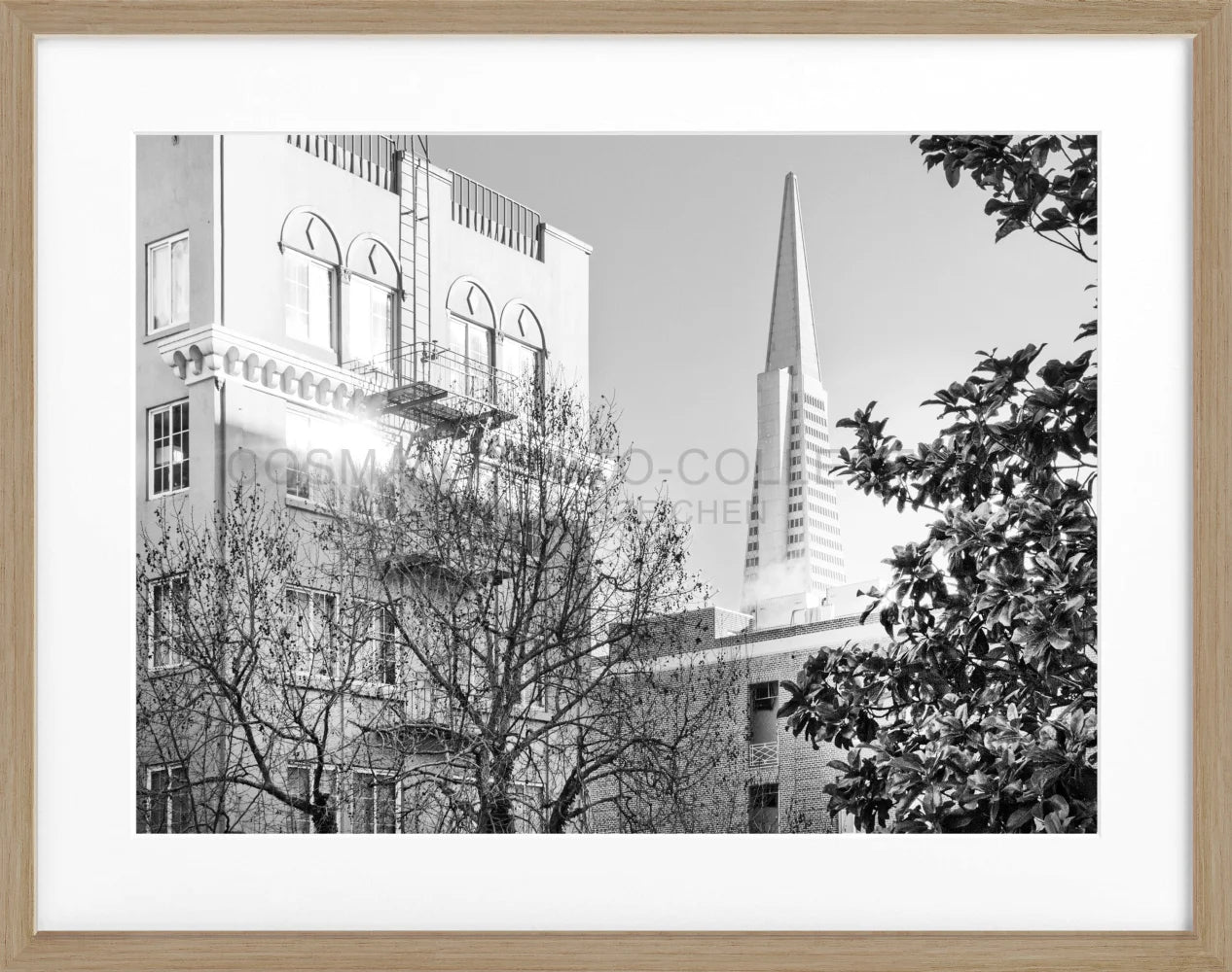 Poster ’Transamerica Pyramid Center’ San Francisco SF01